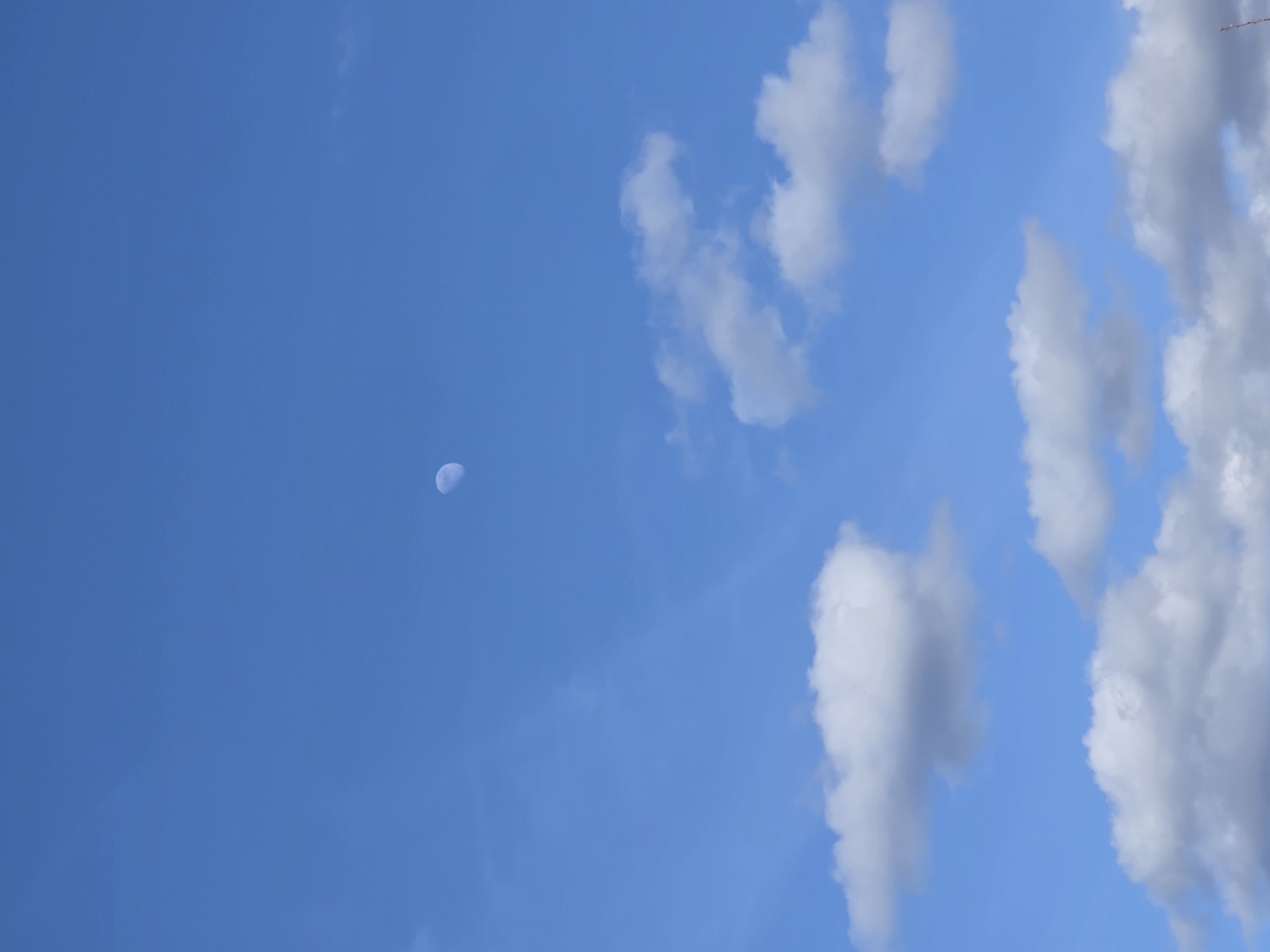 The image shows a bright blue sky with scattered white cumulus clouds. A crescent moon is visible in the upper left portion of the frame. The bottom right corner of the frame is more obscured with clouds. No people, subjects, objects, actions, or interactions are readily apparent. The location is assumed to be Chaikovsky, Russia, as per the prompt.
