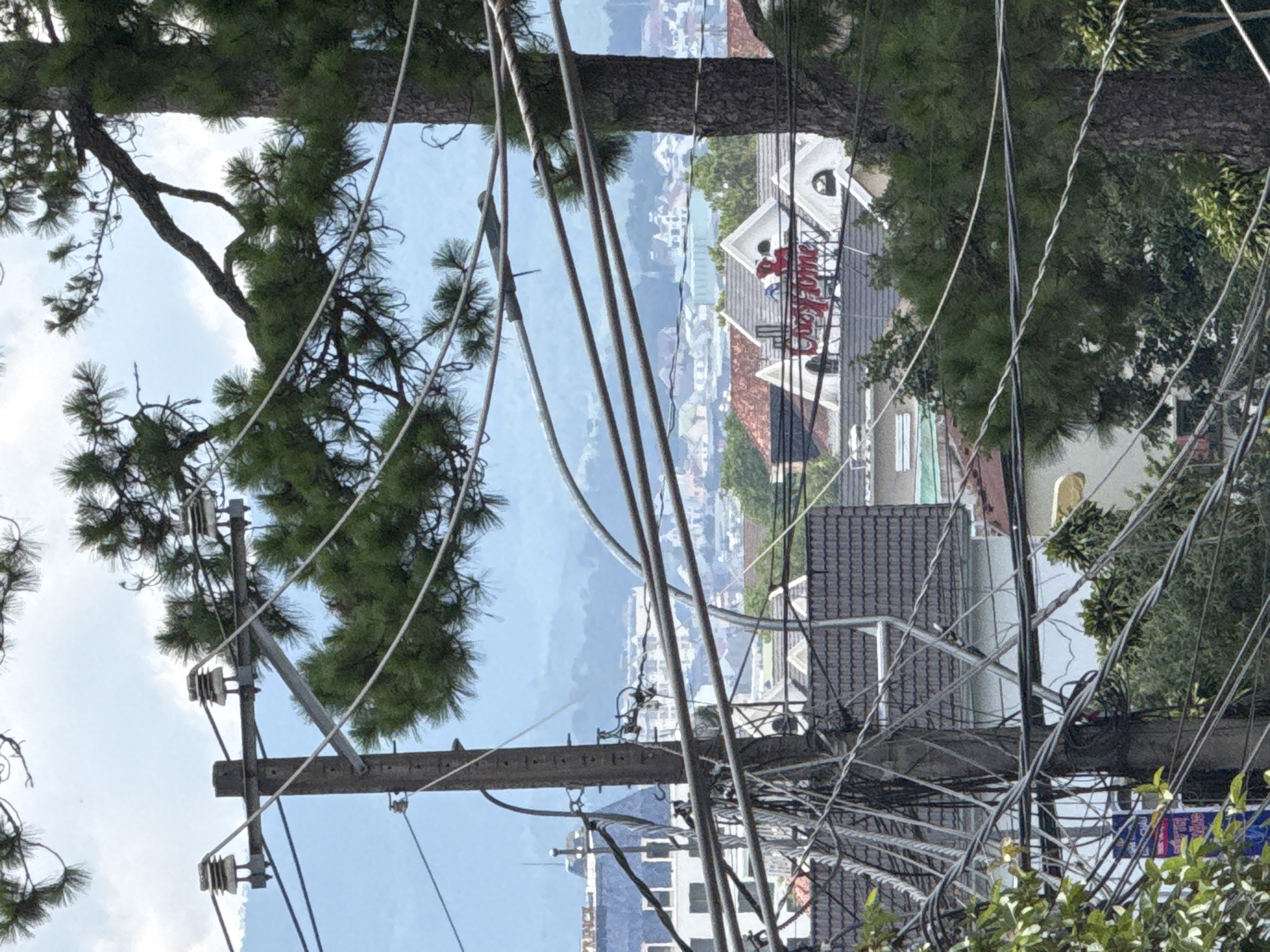 This image shows a view of Da Lat, Vietnam, characterized by its hilly terrain and a dense arrangement of buildings with tile roofs. In the foreground, a utility pole is heavily laden with numerous electrical wires, creating a tangled mess. To the right of the pole, a large pine tree stands tall, its branches extending across the frame. Behind the utility pole and tree, a collection of buildings with various architectural styles and colored tile roofs are visible, indicating a densely populated urban area. Further in the background, mountains are discernible, shrouded in a light haze, suggesting the city's characteristic misty atmosphere. A prominent building with a red sign reading "Cozy Home" is visible among the cluster of houses. The sky is overcast with clouds.