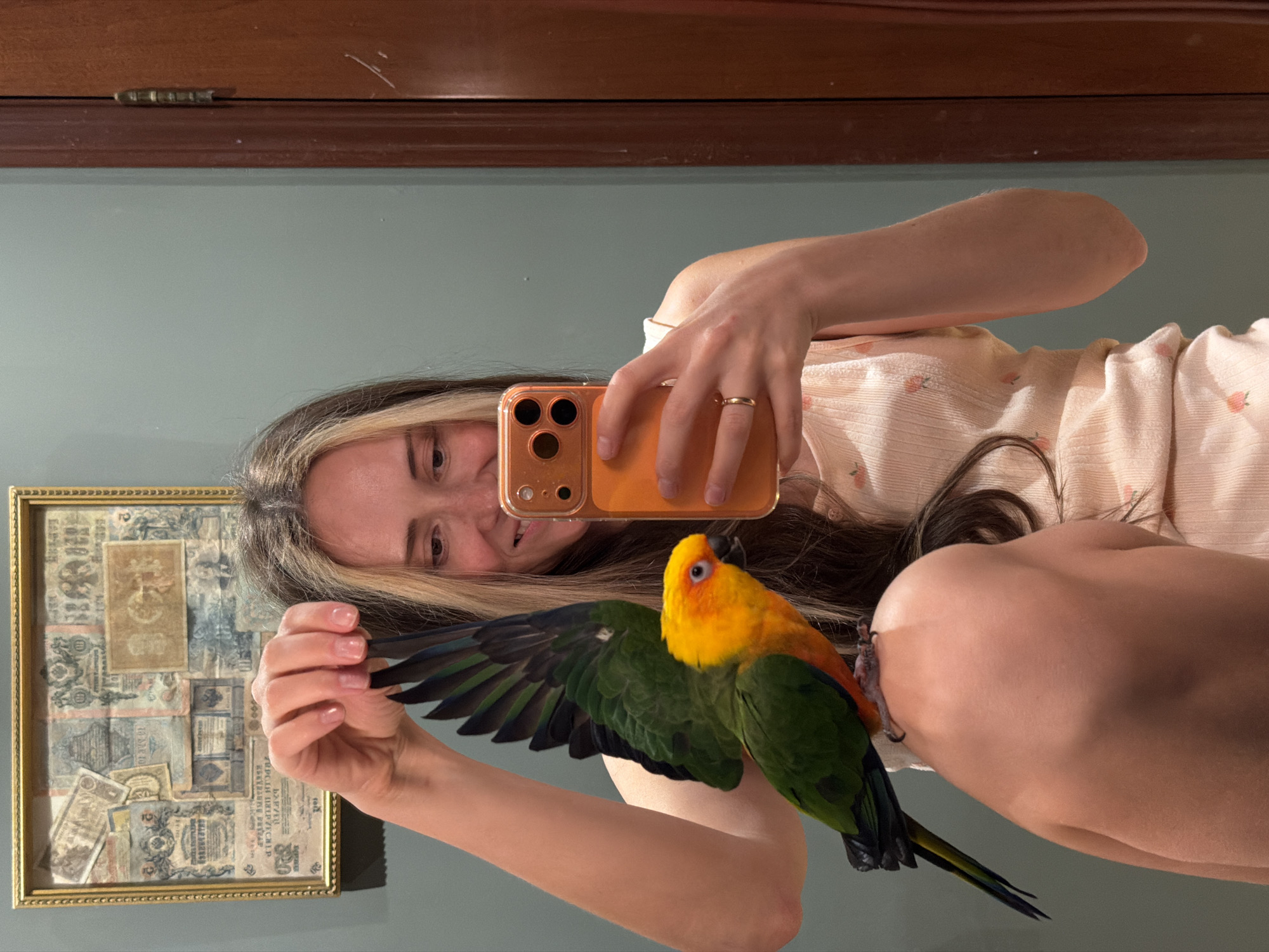 A young woman with blonde hair streaked with lighter blonde is taking a mirror selfie with her pet Sun Conure parrot. The parrot is perched on her right arm, with its wing outstretched. The woman is holding her orange smartphone in her right hand, and her left hand is holding the parrot's wing. She is wearing a light pink tank top with a floral pattern. In the background, there is a framed collage of old currency bills on a light blue wall. To the right of the woman is a wooden doorframe. The scene appears to be indoors, likely in a home environment.