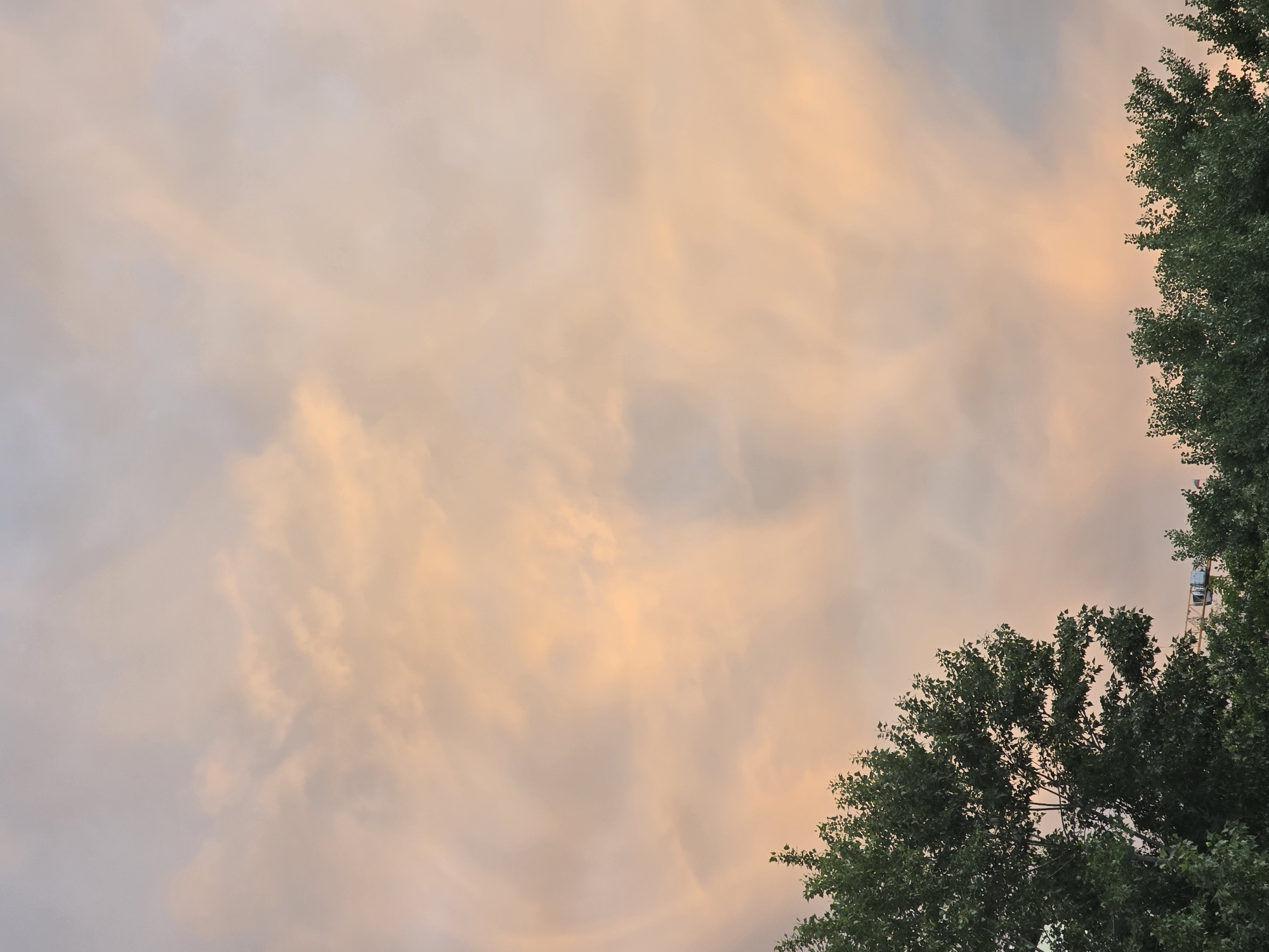 The image shows a sky at dusk with orange and grey clouds. The right side of the image features a large tree with dense green leaves. In the upper right corner, there is a small crane visible behind the tree. The location is not explicitly identifiable from the image.