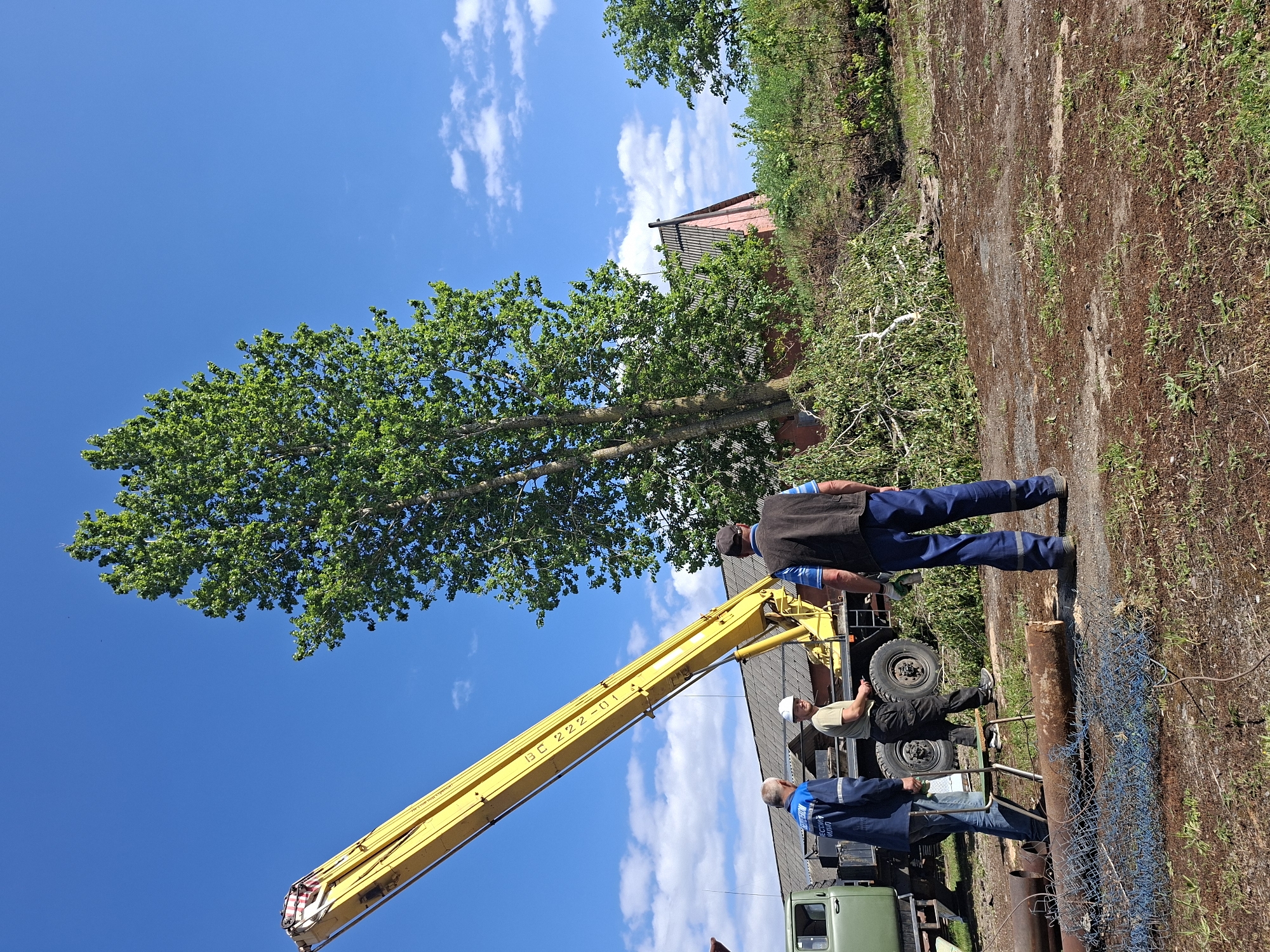 The image shows a crane operation in Zhabinka, Belarus. Three men are near the crane truck, one wearing a white hard hat and the other two in blue work clothes. The crane boom is yellow with "BC 222-01" printed on its side and is positioned towards a tall tree with green leaves against a blue sky. Cut tree branches and a section of chain-link fence are on the ground near a dirt road or path. A small building with a red roof is visible in the background.