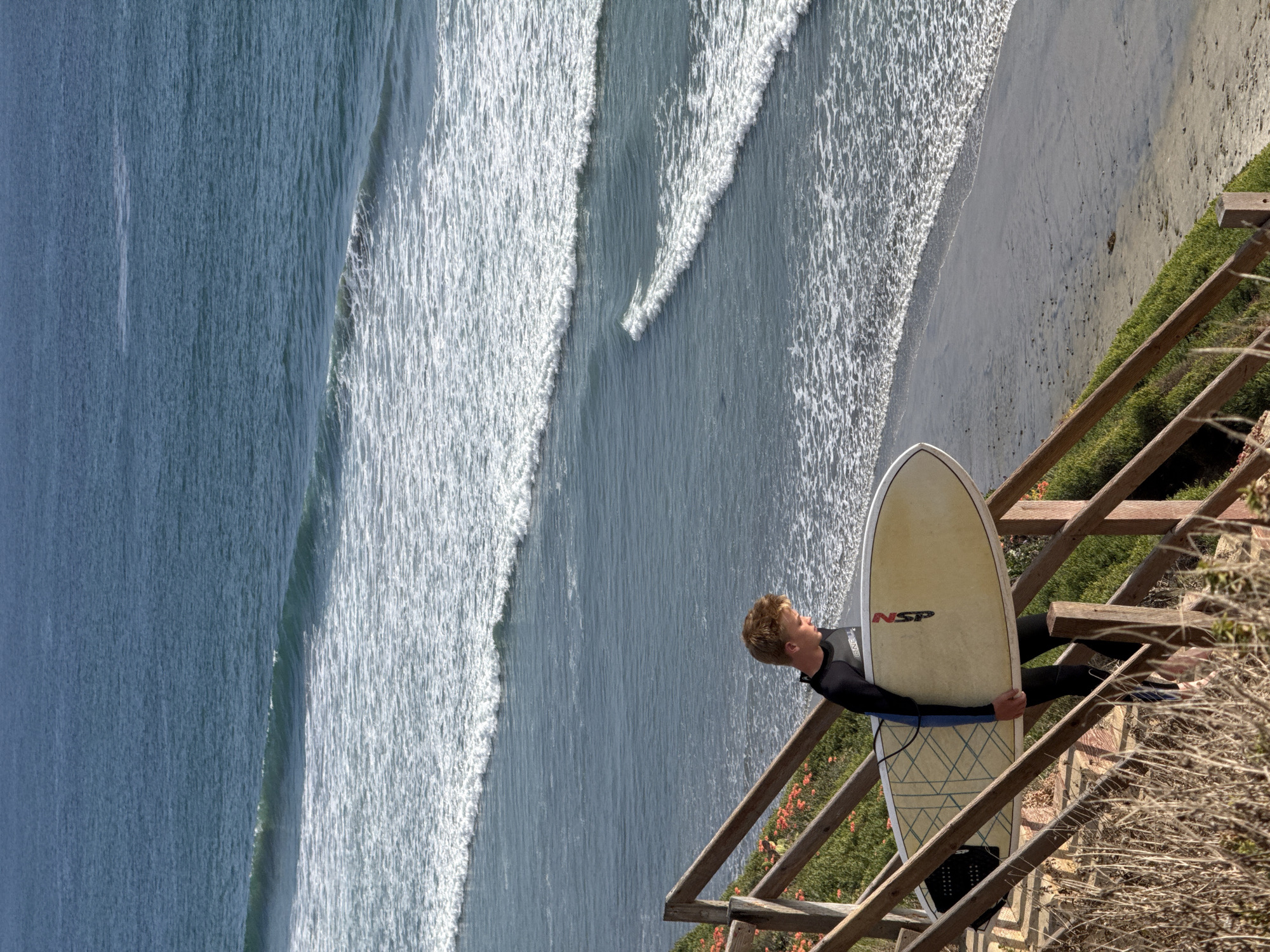 This image captures a coastal scene in Encinitas, United States, on a bright, sunny day. The primary subject is a young male surfer, dressed in a dark wetsuit, standing on or next to a rustic wooden railing or set of stairs that descends towards the beach. He holds a light-colored surfboard vertically with both hands; the brand "NSP" is visible in red letters near the top of the board. The surfer, with short, light-colored hair, gazes intently out at the ocean, appearing either about to enter the water or contemplating the waves.
In the background, the vast blue-green ocean stretches out under clear skies. Several distinct, parallel lines of white-capped waves roll towards the sandy shore, indicating active surf conditions. The sandy beach shows faint footprints, leading to the water's edge. The cliffside adjacent to the wooden structure is covered with lush green vegetation, interspersed with patches of red-orange flowers. The scene conveys a sense of anticipation and the natural beauty of a popular surf spot.
