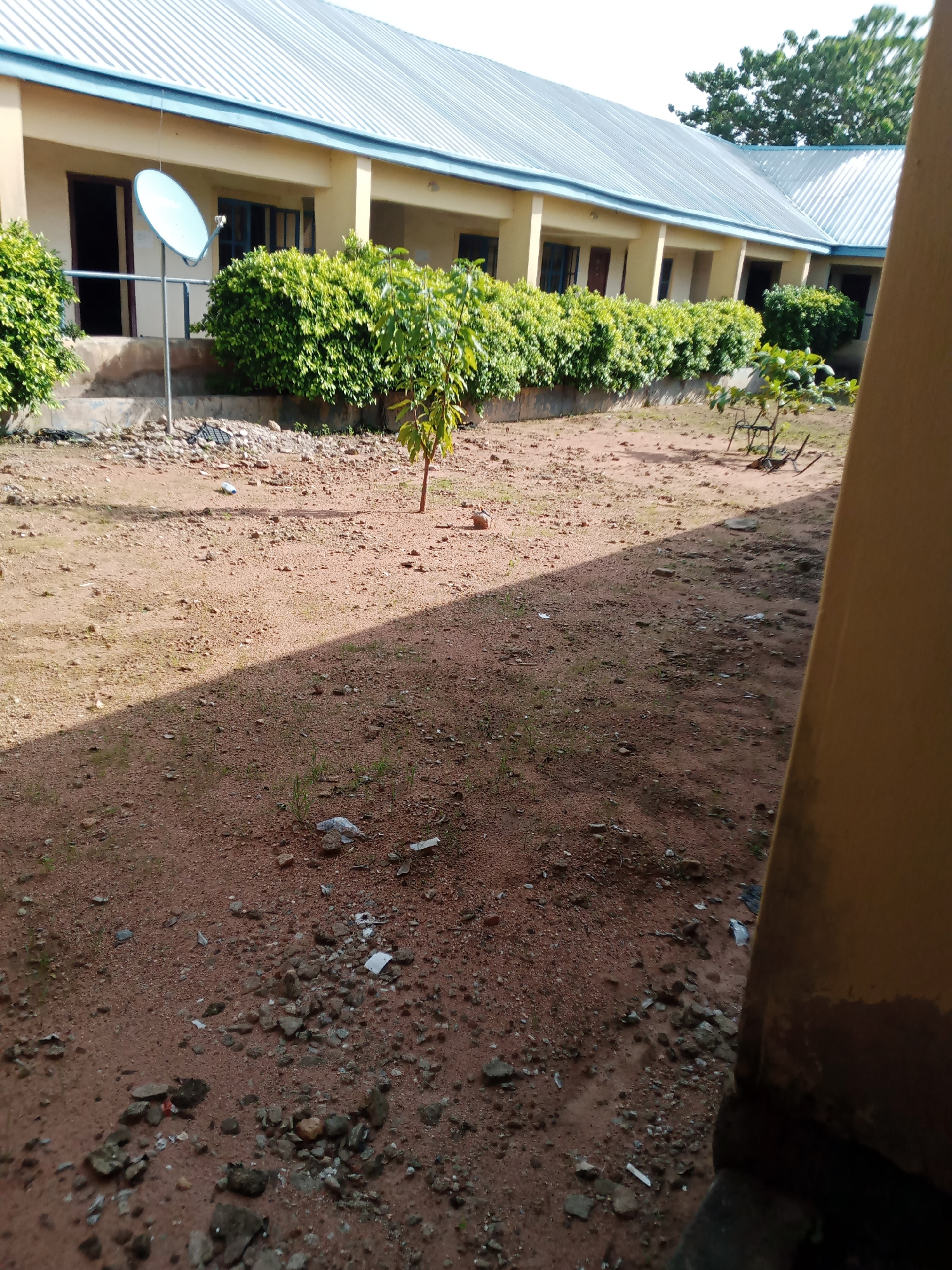 The image shows a portion of a pale yellow building with a light blue metal roof, likely a school or administrative building, in Jalingo, Nigeria. The building has several open doorways and windows with dark frames. In front of the building, there is a line of dense green bushes. A satellite dish is mounted on a pole to the left of the building. The ground in front of the building is dry, reddish-brown earth with scattered stones and some sparse vegetation. A small, young tree is visible in the middle ground, and further back, some broken debris and possibly old furniture can be seen. The scene appears to be an outdoor area adjacent to the building, with a shadow cast across the ground from the right side of the frame.