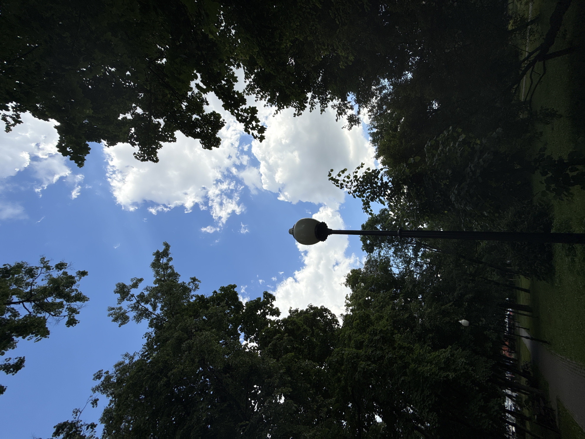 The image presents a serene, upward-looking view within a park or tree-lined avenue, likely in Moscow, Russia. Dense, dark green tree canopies dominate the foreground and sides, framing a vibrant blue sky dotted with scattered white cumulus clouds. The foliage appears thick, casting shadows that suggest bright sunlight from above.
A classic-style lamppost with a spherical or globe-shaped light fixture is prominently featured, extending upwards from the right side, silhouetted against the clear sky. In the far distance along the right edge of the image, a paved path or sidewalk can be seen receding, bordered by more trees and a strip of green grass. Faint outlines of structures or buildings are discernible along the path, indicating an urban park environment.
The scene takes place during bright daylight, likely mid-day or early afternoon, characterized by the clear sky and well-lit clouds. The weather appears fair and sunny, without any indication of precipitation. No specific activity or event is captured, but the image conveys a sense of peaceful nature within a city setting. No visible text is present in the media file.