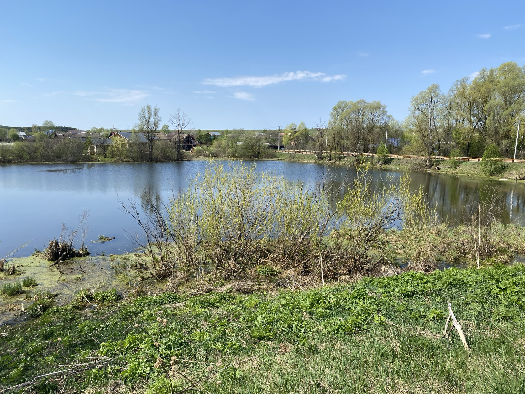 The image depicts a body of water, possibly a lake or pond, surrounded by greenery. In the foreground, there is an area covered with grass and other vegetation, including some bushes or small trees near the water's edge. The water itself appears calm and reflects the sky, with some signs of algae or other growth near the shore. Beyond the water, there is a treeline with buildings visible in the distance, suggesting a nearby settlement. The sky is clear and blue with some wispy clouds. The location is identified as Malyi Bukor, Russia.