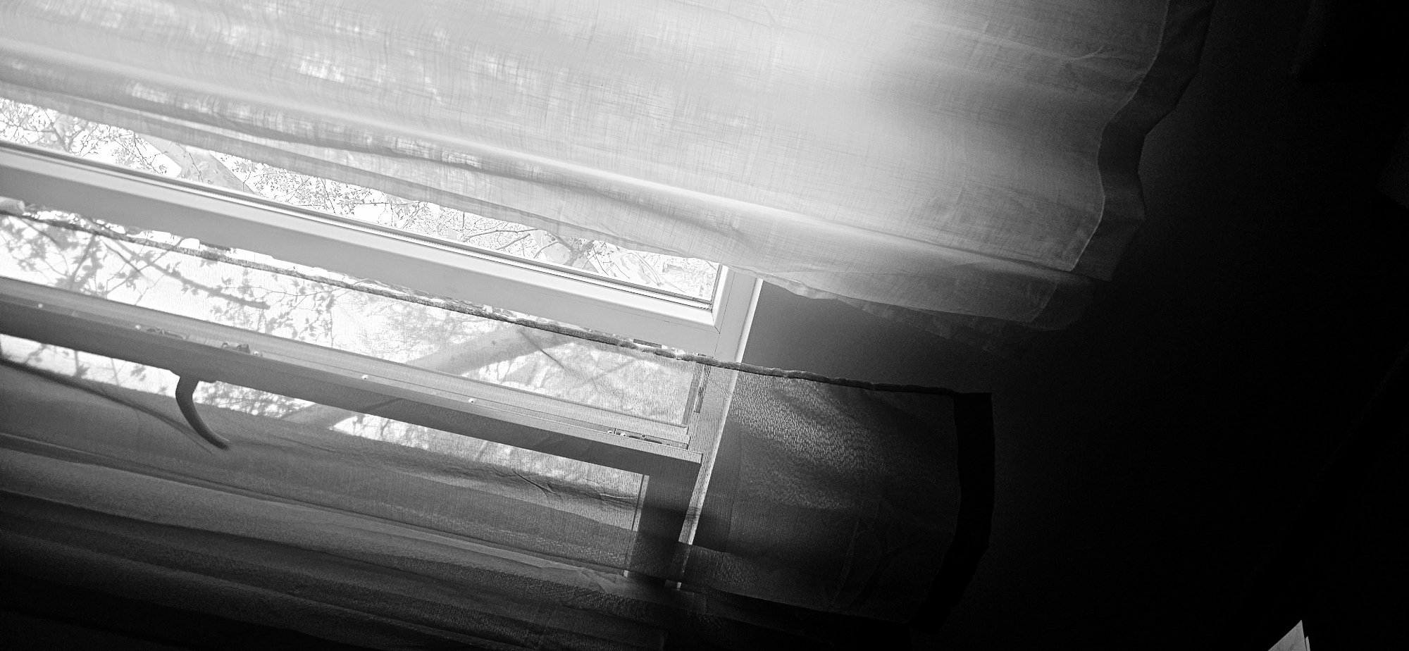 A black and white, low-angle shot depicts a window with sheer curtains in an interior space. Light enters through the window, revealing a view of leafless trees outside, likely indicating a winter scene. The curtains are partially drawn, obscuring the view. The right side of the image is mostly dark, suggesting a corner of the room away from the window. There is no visible indication in the photograph that this scene is located in Plovdiv, Bulgaria. There are no people visible in this photo.
