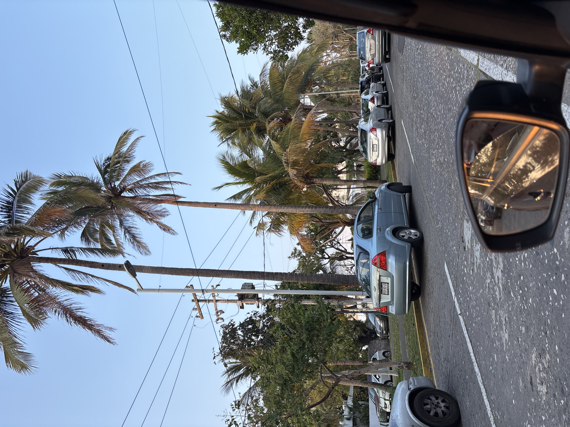 The image shows a street view from inside a vehicle, possibly a car, with the side mirror visible on the right. The street is lined with parked cars on the right-hand side, including a blue sedan and several silver/gray vehicles. The left side of the street features palm trees and other greenery, along with utility poles and wires. The sky is visible in the background, appearing clear and light blue. The location is a city.