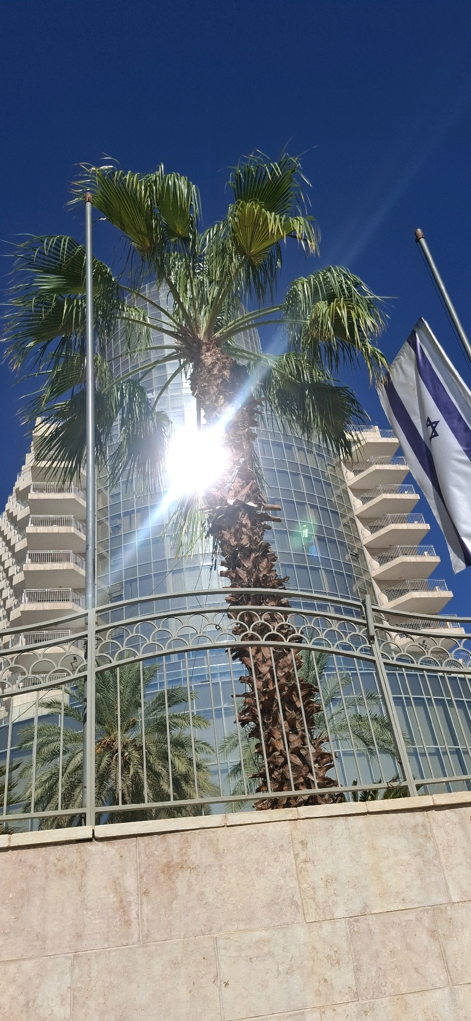 The image depicts a modern glass-fronted building with balconies, suggesting a hotel or residential complex, in the city of Tamar Regional Council, Israel. A tall palm tree with a textured trunk stands prominently in the foreground, partially obscuring the building. The sun is shining brightly, creating lens flares and reflections on the building's glass facade. An Israeli flag, with its distinctive Star of David, flies on a flagpole to the right of the palm tree. A decorative metal fence runs across the lower portion of the image, and a stone wall forms the base of the foreground. The sky is a clear, deep blue. The scene appears to be a sunny day, likely in a warm climate. There are no people visible in the image.