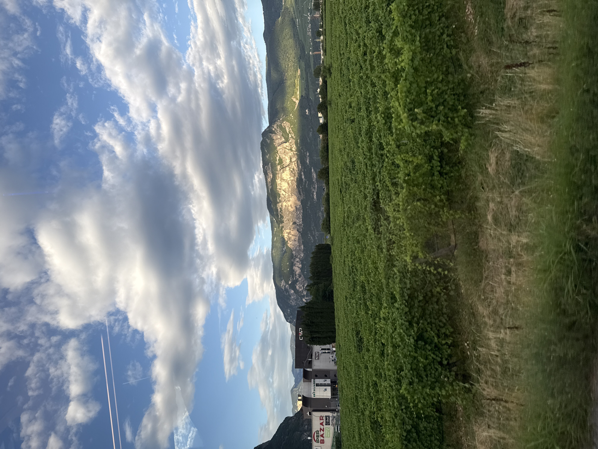 The image depicts a landscape scene in Mezzolombardo, Italy, dominated by a vast vineyard in the foreground. The vineyard, characterized by lush green rows of vines, stretches across the middle ground of the image. Behind the vineyard, a cluster of modern buildings stands, with prominent signage including "IPER BAZAR" and "ROYAL SPORT" visible on one structure. Adjacent to these buildings are tall, dark green cypress trees, forming a visual barrier.
In the background, a majestic mountain range rises, its peaks and slopes illuminated by the warm light of the setting sun, casting dramatic shadows across the landscape. The sky above is a vibrant blue, dotted with fluffy white and grey clouds, with two distinct contrails from an aircraft streaking across the upper left quadrant. The overall impression is one of a rural Italian setting, with agriculture and commerce coexisting under a dramatic sky. The scene appears to be captured from a moving vehicle, suggested by the slight blur in the foreground grasses. There are no people or animals visible in the frame.