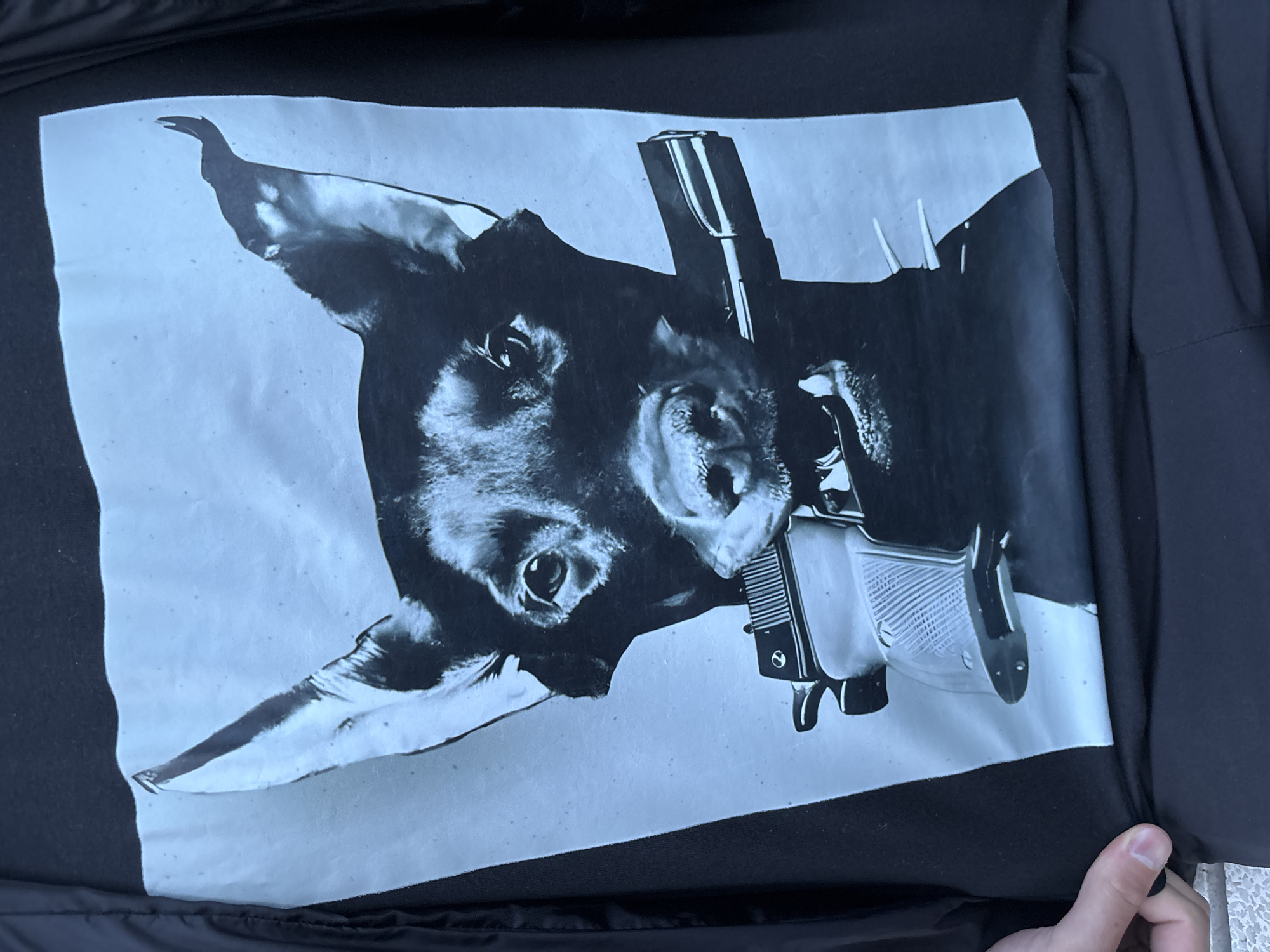 A person's torso is depicted, wearing a black t-shirt. The t-shirt features a large, high-contrast graphic print. The print illustrates a black dog, resembling a Doberman Pinscher, with erect ears and an intense gaze. The dog is holding a black semi-automatic handgun by its muzzle within its jaws, with its teeth visible around the weapon. The background of the print is a uniform light blue-grey. A human hand is visible at the lower left, gently grasping the t-shirt's hem. This image was captured in Varna, Bulgaria.