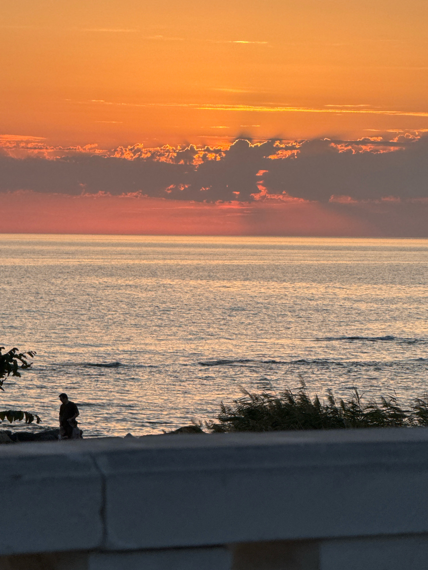 A serene sunset over the Caspian Sea near Aktau, Kazakhstan, paints the sky with vibrant hues of orange and pink. The sun, partially obscured by clouds, casts a warm glow across the tranquil water. In the foreground, a solitary figure stands on the rocky shore, silhouetted against the shimmering sea. Reeds and foliage frame the scene, adding a touch of natural beauty to the coastal landscape. The calm atmosphere and soft lighting evoke a sense of peace and tranquility.