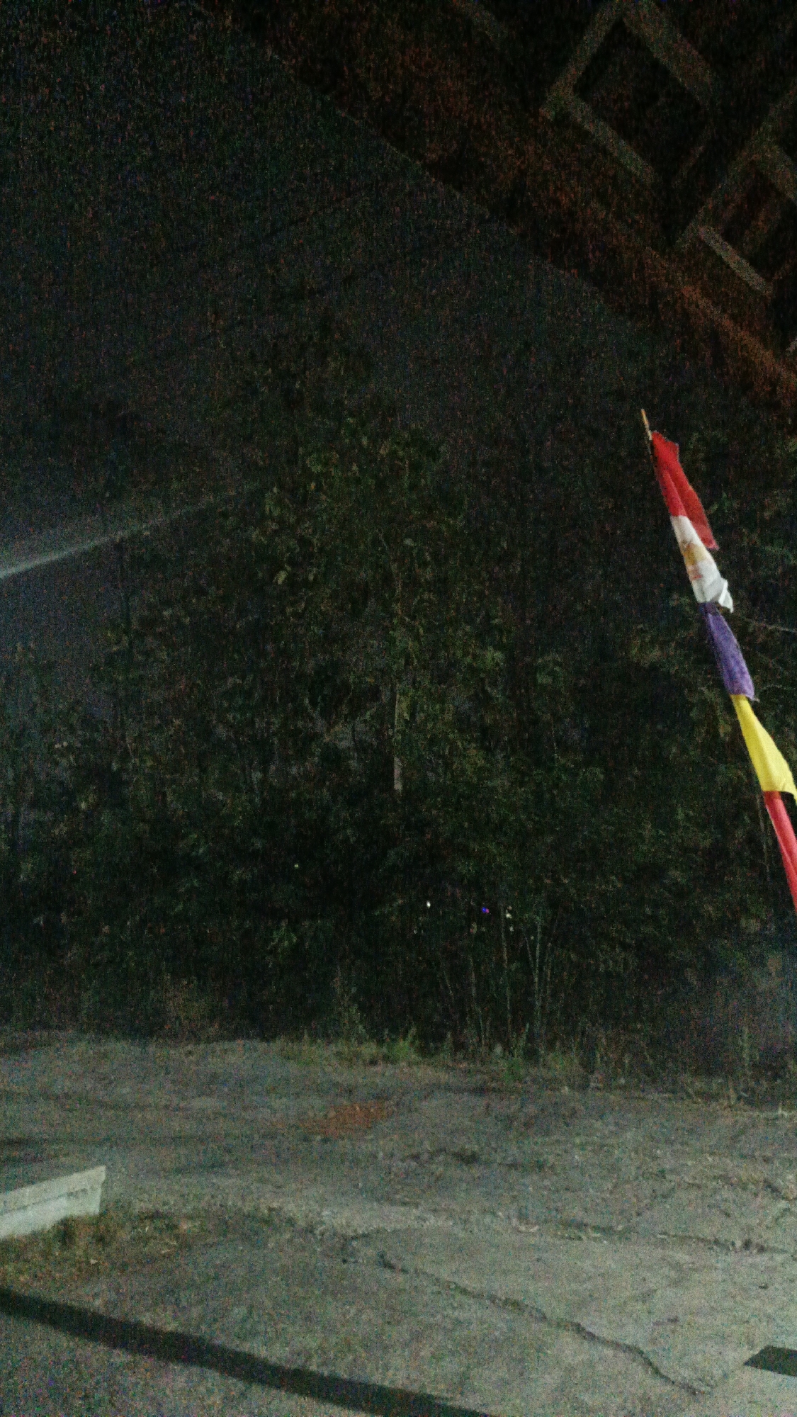 The image depicts an outdoor scene at night, possibly in Sambi, Indonesia, given the Indonesian flag colors. In the upper right, a string of colorful pennants, including red, white, purple, and yellow, hangs from a pole. These pennants are the primary colorful elements against a dark, densely vegetated background that dominates the middle and left portions of the frame. The ground in the foreground appears to be a rough, gravelly or asphalt surface, with some patches of dry vegetation and a light-colored concrete edge visible on the left. A shadow stretches across the lower portion of the ground. The overall lighting suggests it is dark, with artificial light sources possibly illuminating some areas, creating a grainy texture across the image. The environment appears somewhat unkempt, with a dense undergrowth of trees and bushes. There are no people visible in the frame.