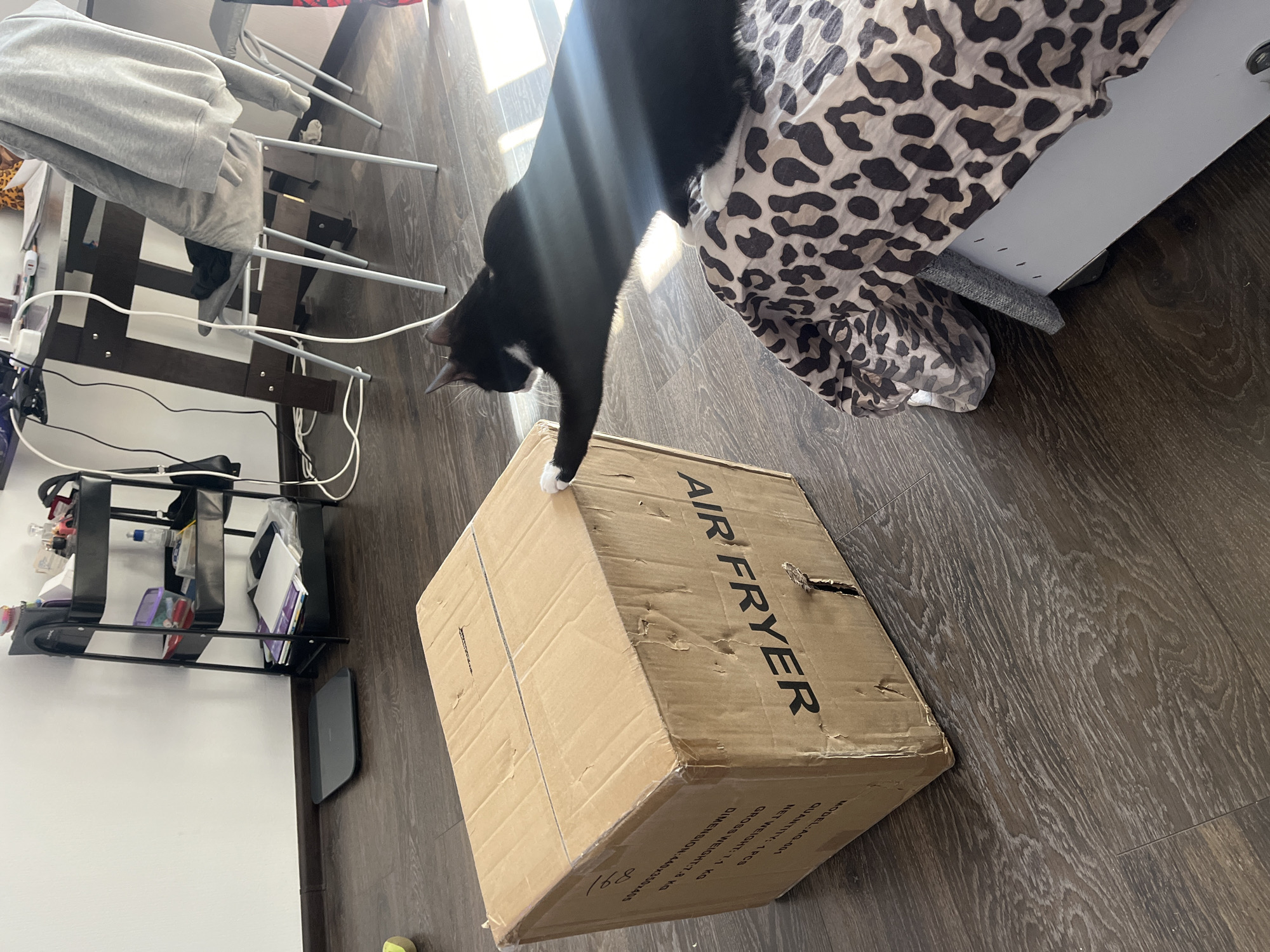 A slightly high-angle shot shows a black and white cat standing with one front paw on a cardboard box labeled "AIR FRYER." The box is on a brown wood-look floor. Adjacent to the box and cat is a bed with a spotted brown and beige cover. A clothes-drying rack with gray clothes is visible in the background, along with a black bookshelf against a white wall. A gray laptop is on the floor between the bookshelf and the box. The scene appears to be indoors, and there is natural light.