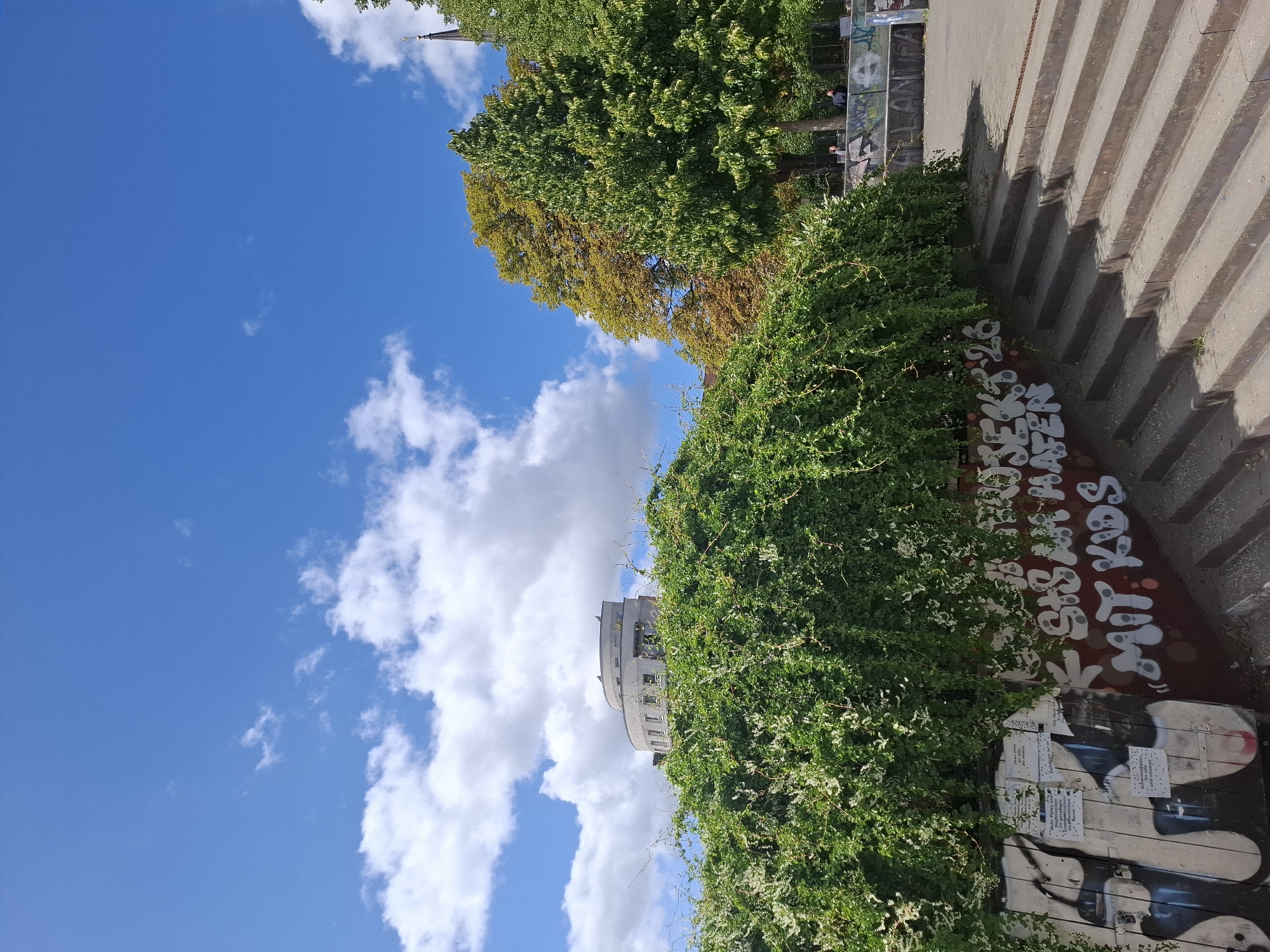 The image shows a view of a park area in Hamburg, Germany, likely near the St. Pauli Elbe Tunnel. In the foreground, a large, dense green vine covers a wall with graffiti. The graffiti on the wall appears to be in German, with phrases like "Stadt mit Kids" (City with Kids) and other illegible tags. To the right, a set of concrete stairs ascends, leading to a paved area with more graffiti on surrounding walls. In the mid-ground, a large tree with yellowing leaves stands next to a tree with green foliage. Behind the trees, a modern, curved building with a light-colored facade is visible against a bright blue sky with scattered white clouds. In the background, a tall, dark spire, possibly a church steeple, is visible. Several figures are present in the background, appearing to be walking or sitting in the park. The scene is lit by bright sunlight, casting shadows on the stairs.
