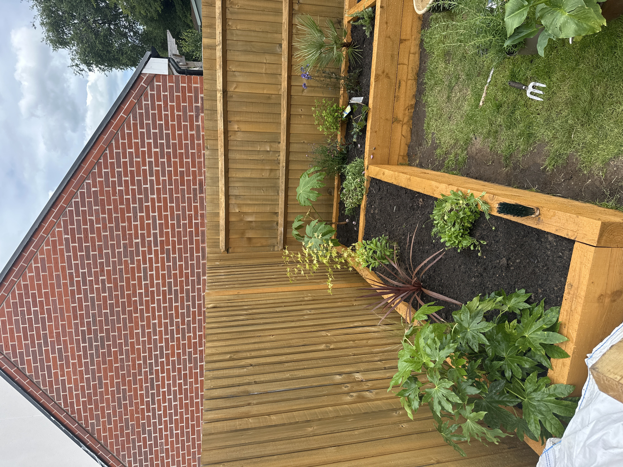 An outdoor, medium shot depicts a newly built, wooden raised garden bed filled with dark soil and various young plants. The garden bed is positioned in front of a tall, vertical wooden fence. Behind the fence, the red brick wall of a building is visible, forming a triangular shape at the top, indicative of a pitched roof. The sky is overcast with clouds.
In the foreground, a large, leafy green plant with lobed leaves occupies the left side of the raised bed. To its right, a plant with thin, red-purple leaves is planted. Further into the bed, several smaller plants, including one with delicate blue flowers and a small palm-like plant, are visible. The garden bed is constructed from thick, light-colored wooden planks.
To the right of the raised bed, a patch of green grass is present. A small hand trowel with white tines and a black handle lies on the grass. A few sprigs of rosemary are planted in the grass near the right edge of the frame. A white plastic bag and a piece of wood are partially visible in the lower left corner of the image.
The overall scene suggests a garden undergoing development or recently planted, with a focus on the raised garden bed and its contents. The setting appears to be a residential backyard.