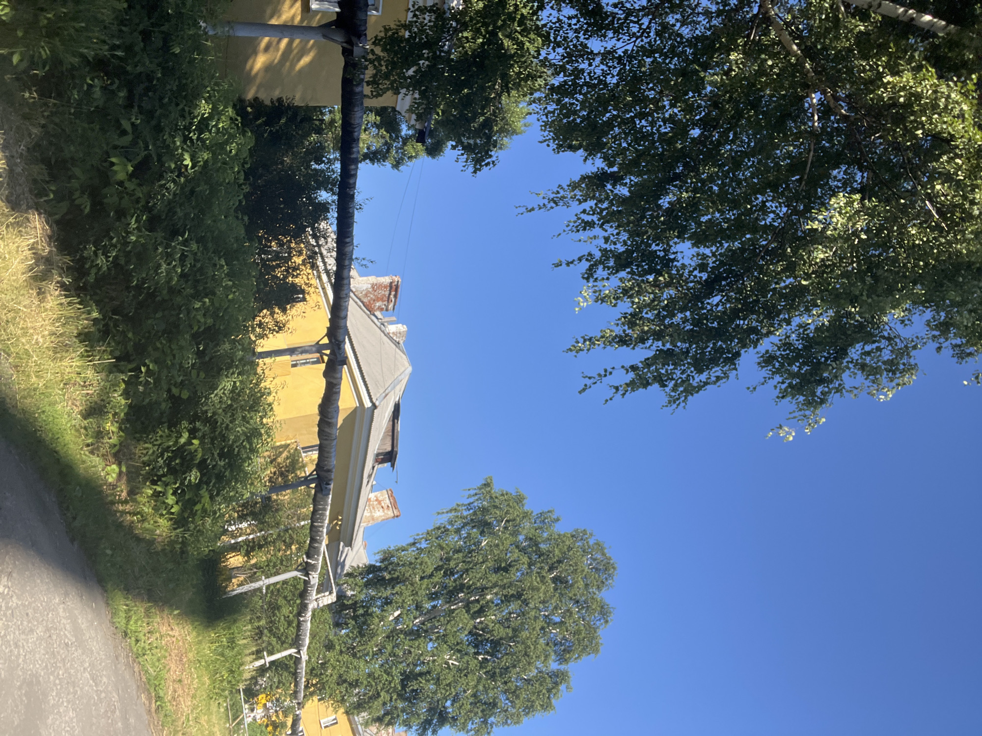 A bright, sunny day in Kiselyovsk, Russia, is depicted in this image. The scene features a yellow building with a grey roof and brick chimneys. A thick, insulated pipe runs horizontally across the mid-ground, supported by metal poles. Lush green trees and dense bushes surround the building, with a pathway visible on the right side of the frame. The sky is a clear, vibrant blue.