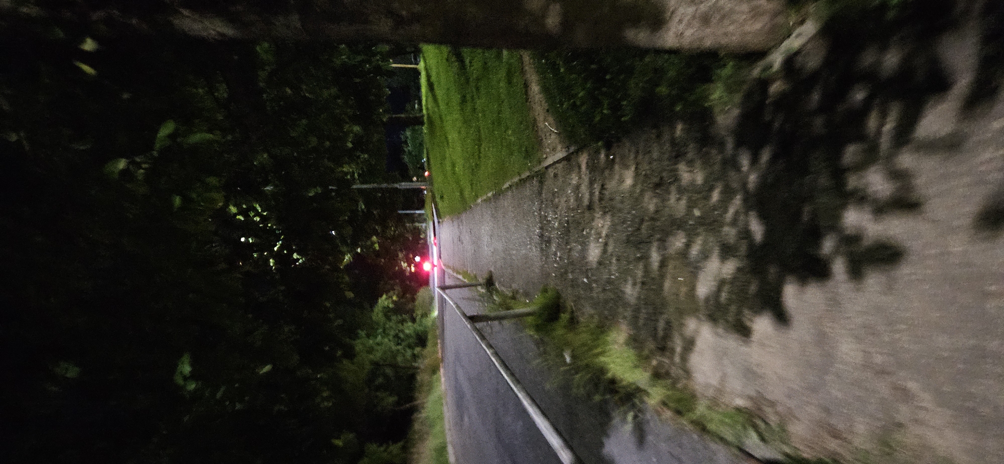 This image depicts a sidewalk next to a road at night, with trees overhead casting shadows. In the distance, two red lights are visible, possibly from a vehicle. The scene appears to be in an outdoor urban setting, with a grassy area to the right of the sidewalk. The location is identified as Vitsebsk, Belarus. There are no people or discernible animals in the frame. The atmosphere is dark and quiet, with the lighting primarily coming from artificial sources and the faint glow of distant lights. The sidewalk is paved with concrete, and there is a metal railing along the edge of the road.