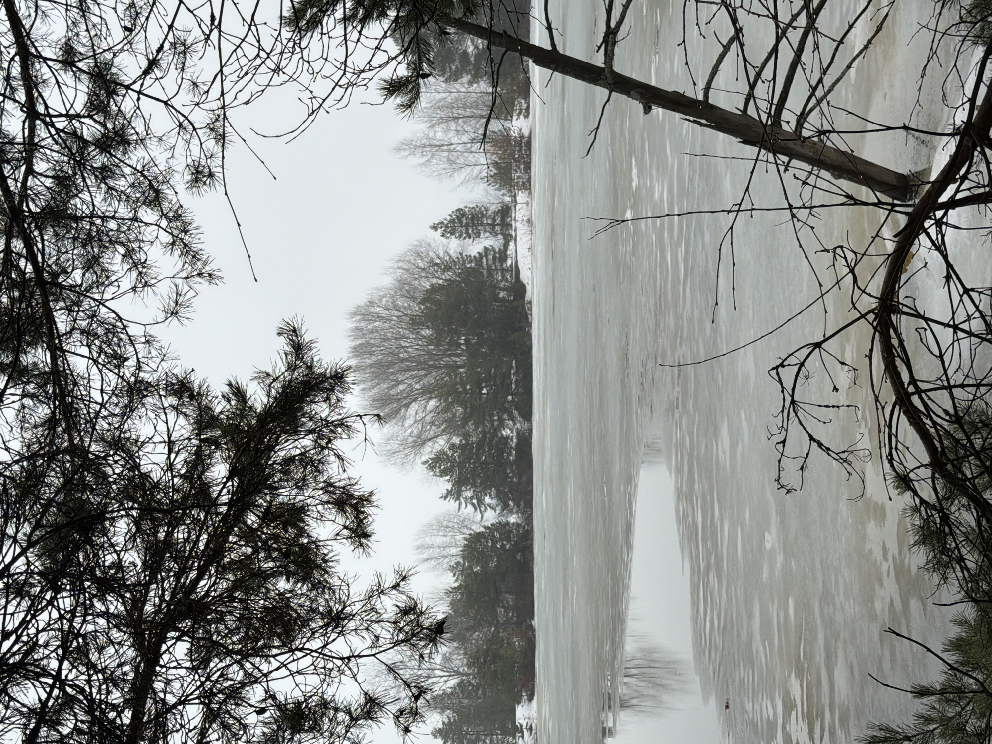 A partially frozen body of water is framed by bare trees in the foreground. The water's surface is textured with patterns suggesting ice or a semi-frozen state. The background is obscured by fog or low clouds, partially concealing trees on the opposite shore. The scene exhibits a cold, wintery environment, likely in a natural setting with dense tree cover. The image is oriented vertically, with the apparent "ground" facing to the right of the frame. The location is Noviy, Russia.
