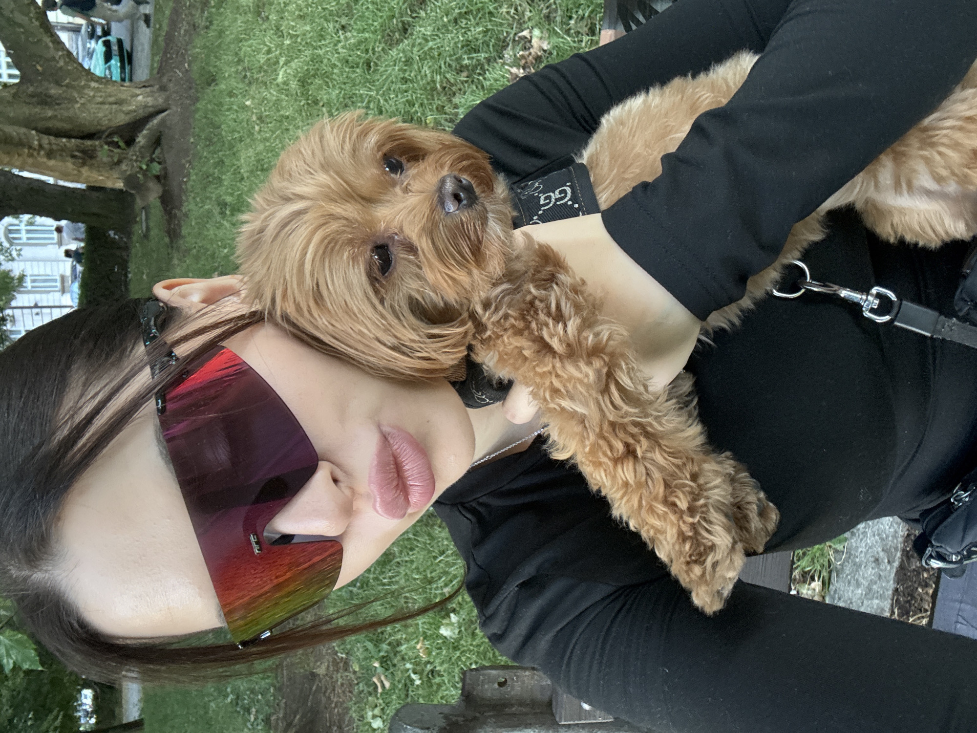 A woman with dark hair, wearing large, reflective sunglasses and a black long-sleeved shirt, is holding a small, light brown, fluffy dog. The woman is in the foreground, with her face partially obscured by the sunglasses and her lips pursed. The dog is nestled in her arms, with its head resting on her arm. The background shows a park-like setting with green grass, a large tree, and buildings in the distance. There are also some cars and people visible in the background. The lighting suggests it is daytime, and the overall scene is casual and relaxed. The style of the buildings in the background, particularly the white facades and arched windows, is consistent with architecture found in Prague, Czechia.