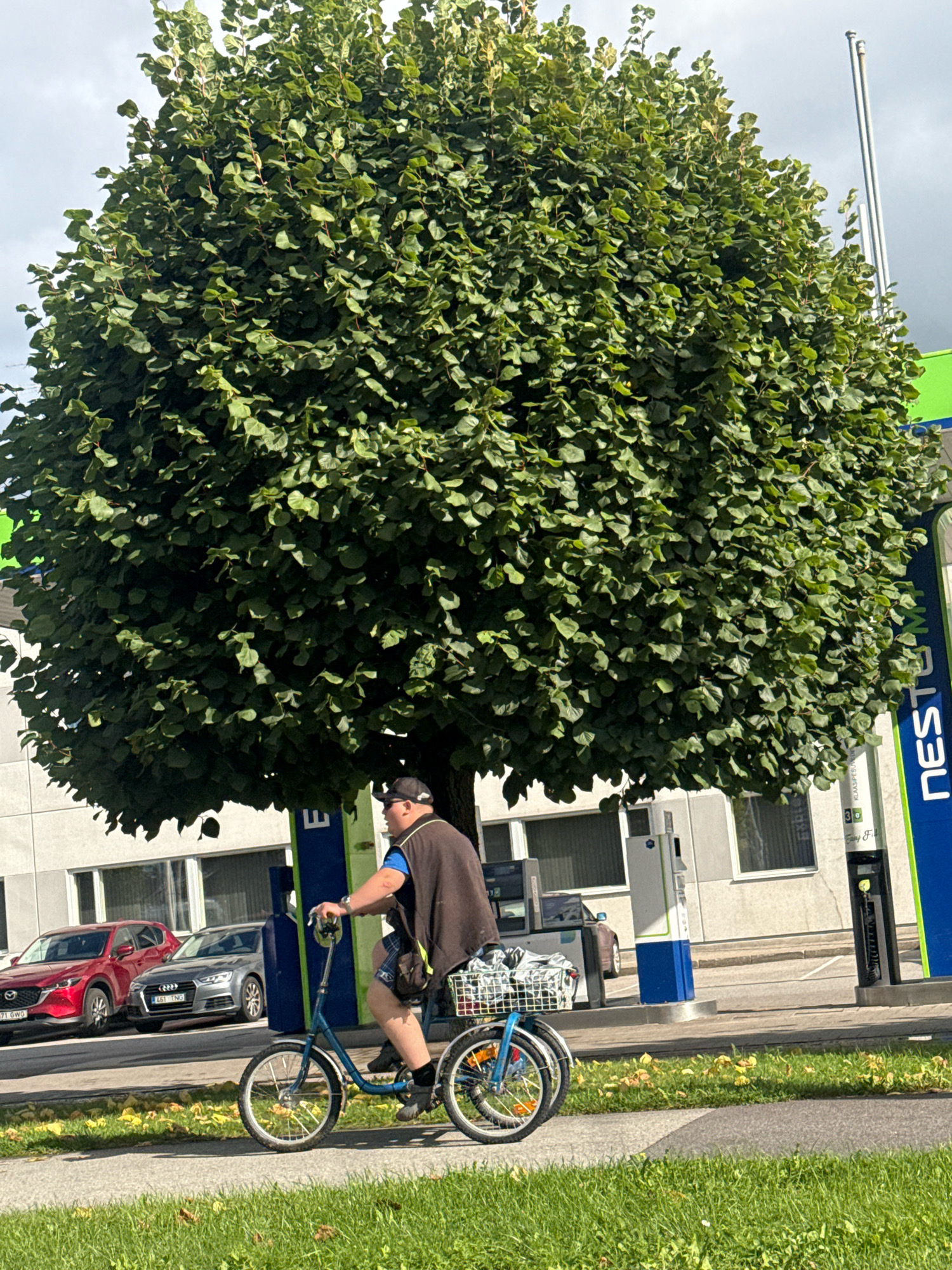 A man wearing a dark vest, blue shirt, shorts, and a baseball cap rides a blue three-wheeled bicycle. The bicycle has a basket on the back filled with items. The man is moving from left to right. In the background, there is a large, leafy green tree. Behind the tree, there is a modern building with windows and a charging station. There are two cars parked in front of the building: a red SUV on the left and a silver car on the right. The scene appears to be on a street or sidewalk in a city. The presence of a charging station and the signage on it suggest it is likely a gas station or a similar service area. The cars and building suggest an urban or suburban environment. The vegetation and the sunny weather indicate it is daytime and likely spring or summer. The car license plates are visible and appear to be European, specifically from Estonia. Therefore, the location is likely in Tallinn, Estonia, possibly near a gas station.