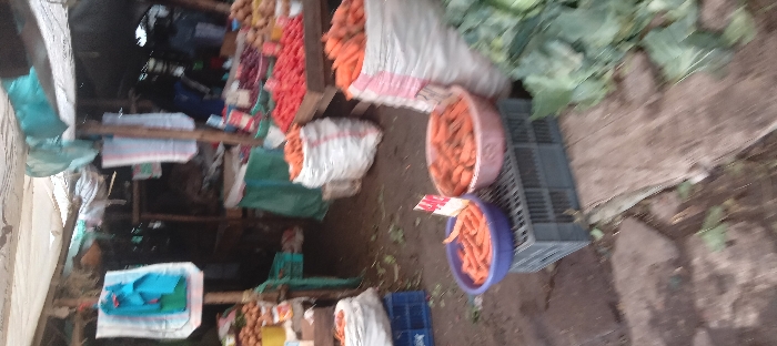 The image shows a street market stall in Kitengela, Kenya, located at latitude -1.47 and longitude 36.959. The stall is covered by a white tarp, and there are numerous sacks filled with carrots in the foreground. Two baskets of carrots are in the middle ground, sitting on a gray plastic crate. There are also vegetables in bags and crates in the background, with a partially obscured stall behind the bags of carrots. The ground is dirt with some leaves scattered on it. The stall is on a street corner, with a wooden board in the foreground. The stall is crowded, with several people visible in the background. The image was captured during the day.