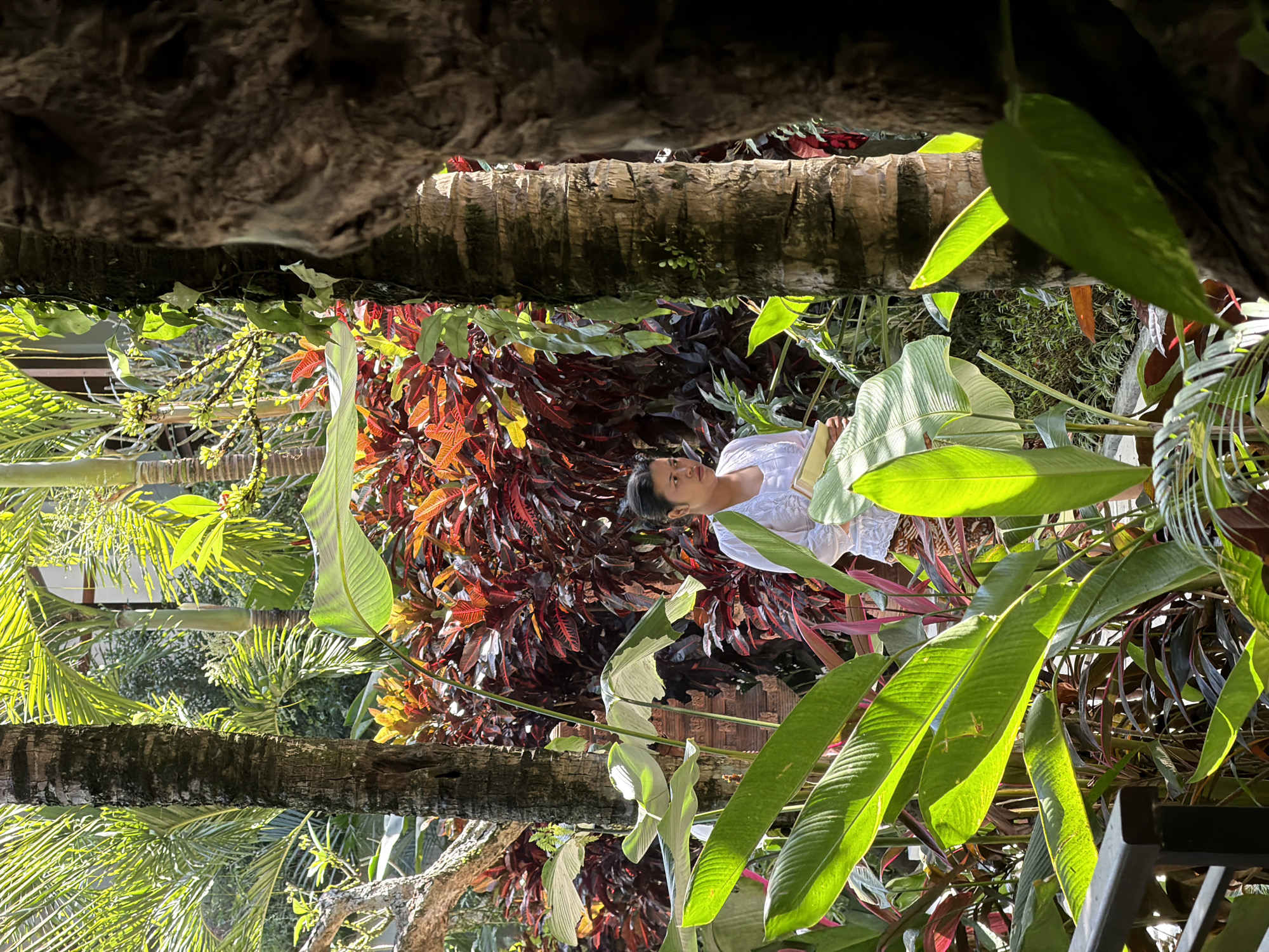 A woman in a white top and patterned skirt stands amidst lush tropical foliage in Ubud District, Indonesia. She is looking to her right and holding a light-colored object. The foreground is dominated by large, bright green leaves, with a dark tree trunk to the right obscuring part of the view. Behind the woman, a dense bed of red and green plants creates a vibrant backdrop. Sunlight filters through the palm trees overhead, casting dappled shadows on the scene. The overall impression is one of a serene, tropical garden environment.