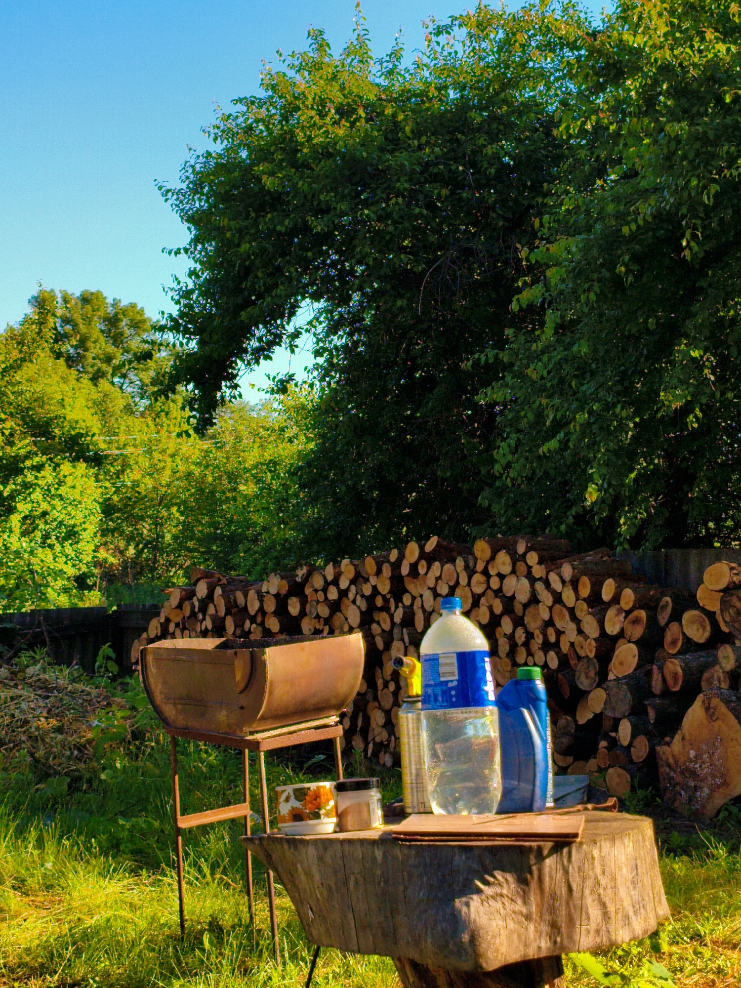 The image shows a rustic outdoor scene, seemingly in a rural location. The sky is blue and partly visible through trees. A large, mature tree dominates the upper right portion of the image, with another group of trees in the left background. A significant stack of cut logs forms the backdrop behind a makeshift work area.
In the foreground, there's a weathered metal grill, positioned to the left of a large wooden stump that serves as a table. On the stump, there's a collection of items including a jar, a dish, a plastic bottle of water, and a blue plastic bottle. The environment is grassy, with uncut grass growing around the grill and stump.
Given the prompt request for the location in Ustyvytsia, Ukraine, and assuming the image was taken there, this scene likely depicts an outdoor cooking or work area in a backyard or rural setting within that city. There are no people visible in the scene. The objects present - the grill, water, and containers - suggest preparation for an outdoor activity like grilling or other related work.
