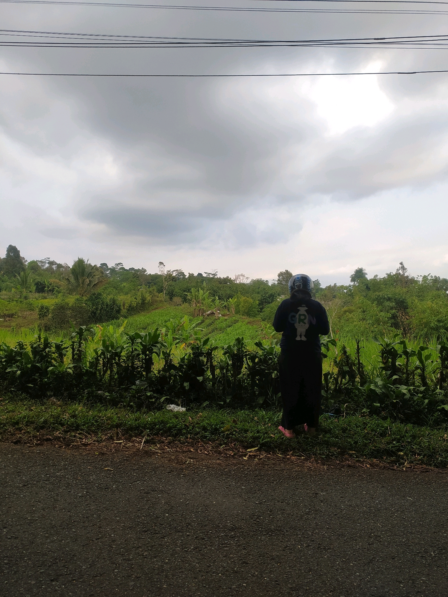 A person wearing a dark hijab and a dark long-sleeved shirt with a white graphic on the back stands facing away from the camera, looking at a lush green landscape. The person is wearing dark pants and pink shoes. The landscape consists of a variety of trees, some with palm fronds, and what appear to be agricultural fields, possibly rice paddies or corn stalks, with some taller green plants in the foreground. The scene is under a cloudy sky. The foreground shows a paved road with a grassy embankment to the right of the road where the person is standing. The image appears to have been taken in Limpakuwus, Indonesia, a rural area known for its agricultural scenery and natural beauty. There are no other individuals or any signs of activity or interaction visible in the image.