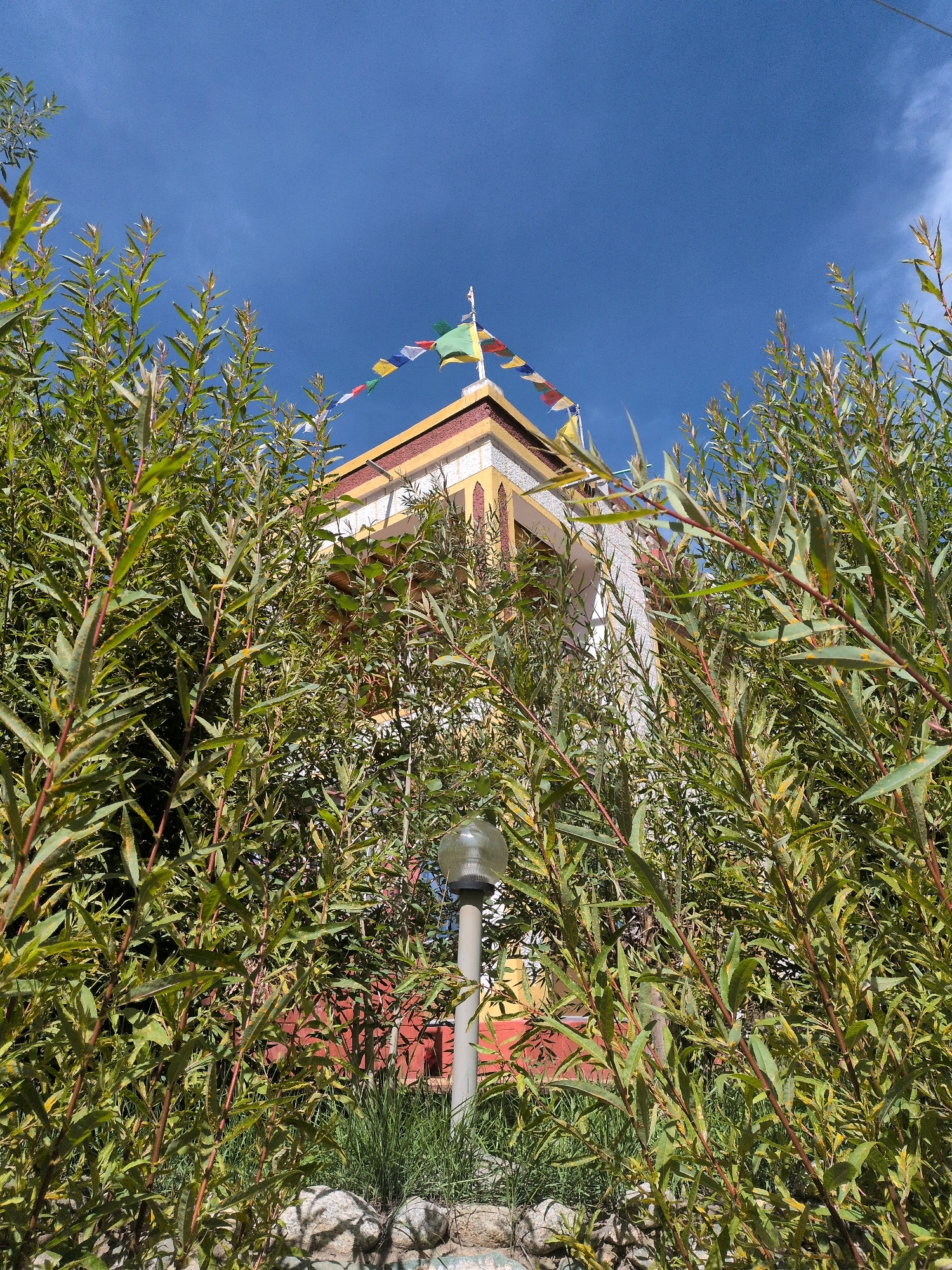 The image shows a building with prayer flags on top, peeking through lush green foliage in Lato, India. The building is adorned with yellow and white paint, and has arched windows. A lamp post is visible in the foreground, partially obscured by the leaves. The sky is a clear blue with a few wispy clouds. The overall impression is one of peace and tranquility, with the natural elements framing the religious structure.