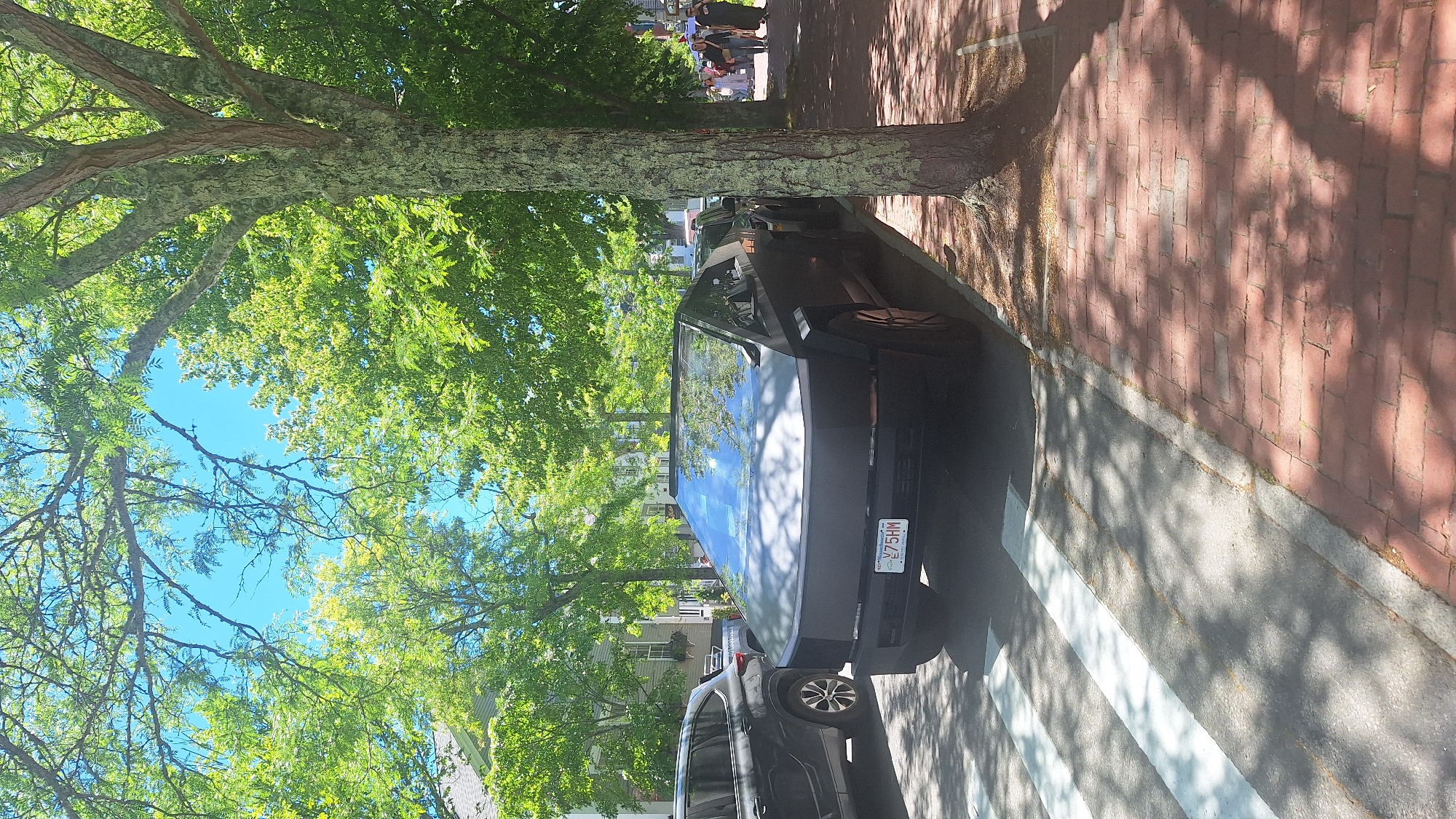 A matte black Tesla Cybertruck is parked on the right side of a street on Nantucket. The truck is angled slightly away from the camera and has a license plate reading "V75HM". A dark-colored SUV is parked to the left of the Cybertruck. A crosswalk with white stripes is visible in the foreground. A brick sidewalk runs along the right side of the street, shaded by a large tree with textured bark. The street is lined with buildings and trees with vibrant green foliage under a clear blue sky. Several people are walking on the sidewalk in the background, appearing as blurred figures.