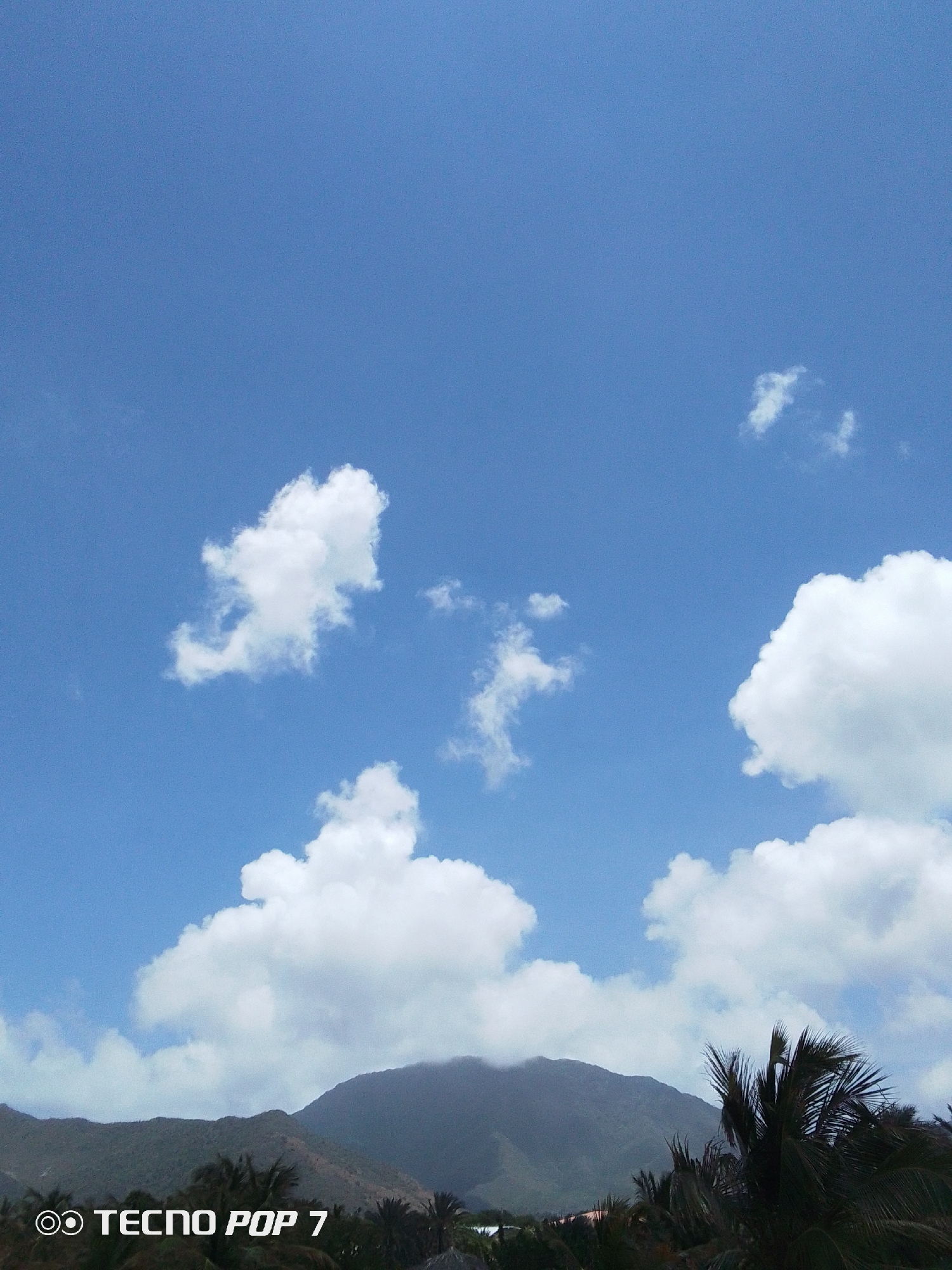 The image shows a daytime scene in Pedro González, Venezuela, featuring a blue sky with scattered white clouds. In the foreground, there is a partially obscured mountain range, with palm trees visible at the base of the mountains. The image also contains a watermark indicating the photo was taken with a TECNO POP 7 mobile phone.