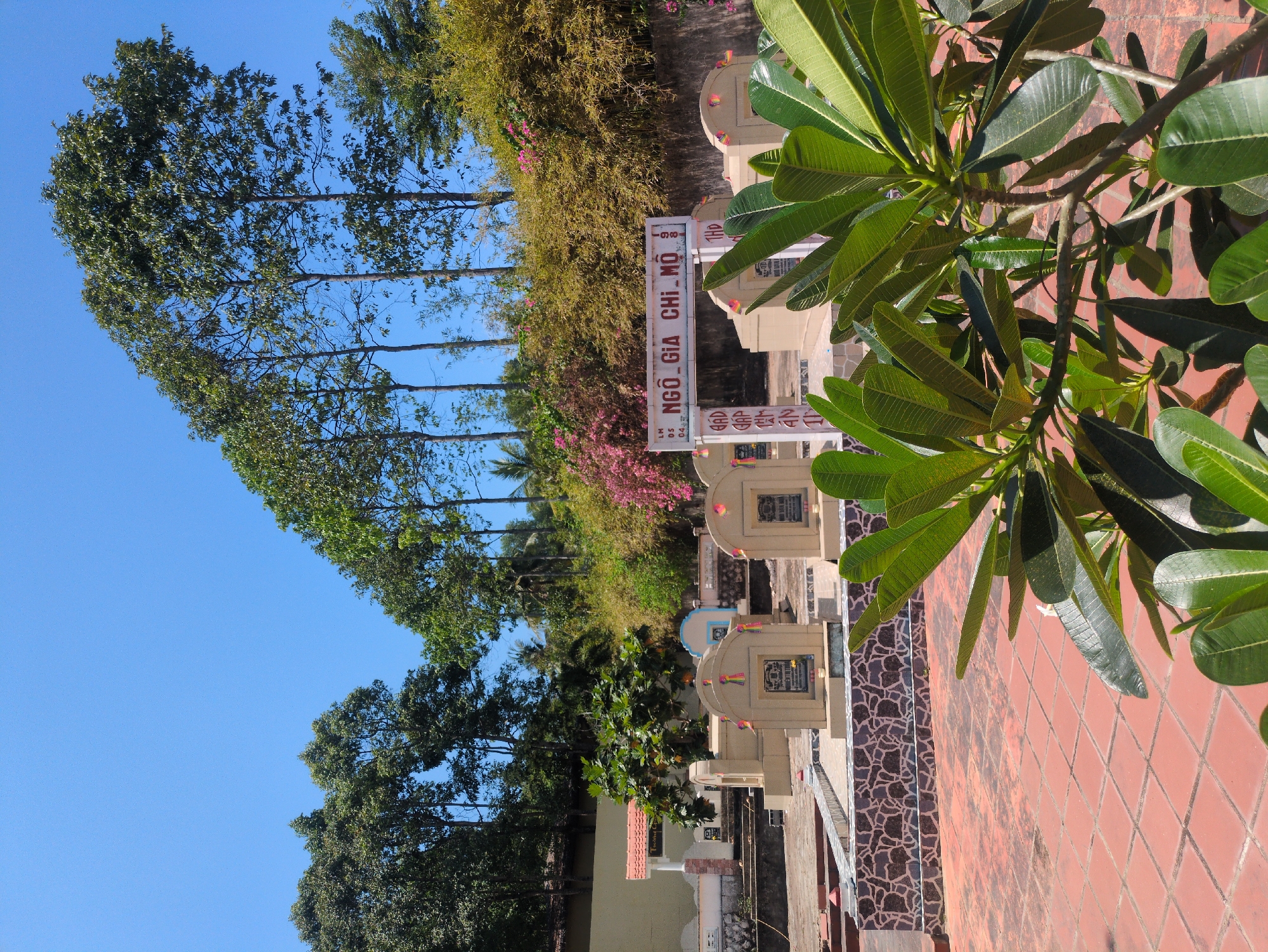 The image shows a section of the Ngô Gia Chi Mộ cemetery in Phú Quốc, Vietnam. Rows of tombstones are visible, lined up along a tiled walkway. Lush foliage, including trees and flowering plants, surrounds the cemetery. The sky is clear and blue.