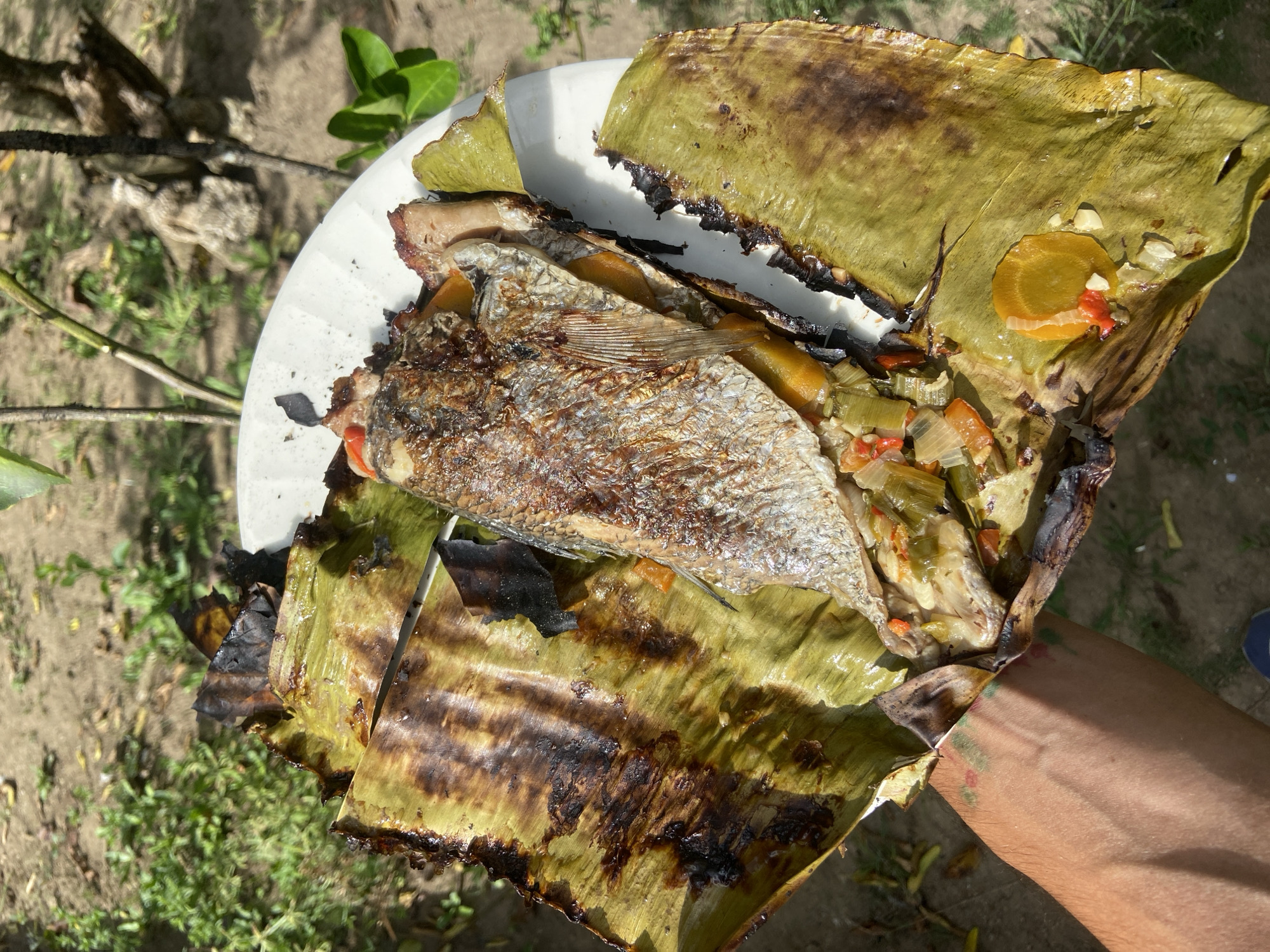 A light-skinned individual holds a white, round paper plate containing a whole, cooked fish wrapped in a banana leaf. The hand displays faint red and green tattoos on the inner forearm. The fish has browned, crispy skin and is visibly stuffed with chopped vegetables including green leeks, orange bell pepper or carrot slices, white onion, and red chili pieces. The banana leaf wrapper is partially charred dark brown and partially green. The outdoor background, identified as Los Velásquez, Venezuela, consists of dry soil with sparse green foliage, small plants, and visible tree branches or roots under natural daylight. A portion of a dark blue shoe is visible at the bottom edge of the frame.