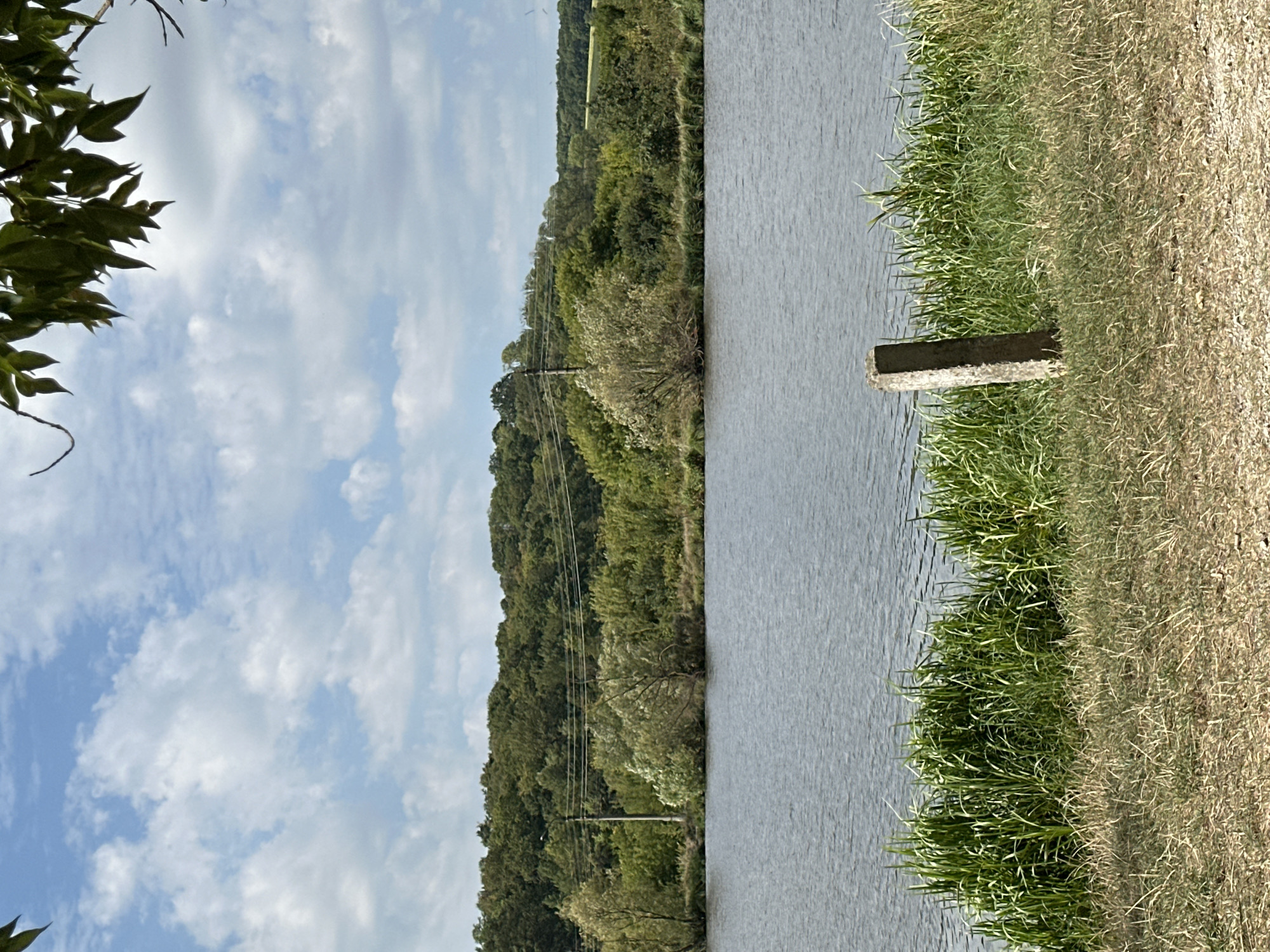 An outdoor, eye-level, vertical, wide shot shows a body of water with vegetation on its banks and a treed hillside in the background under a partly cloudy sky. The foreground is occupied by dry, light brown grass and green reeds. A rough, grey, concrete post is positioned in the foreground, slightly left of center, emerging from the dry grass and reeds. The middle ground consists of a body of dark gray, rippling water, likely a lake or pond. The far bank of the water is lined with lush green reeds and various trees and bushes. A single, pale gray utility pole with wires strung between it and unseen points is visible among the trees. Behind the vegetation on the far bank, a densely wooded hillside rises, covered in a variety of green trees. The sky above is blue with scattered white, fluffy clouds. The scene is located near the city of Makiv, Ukraine.