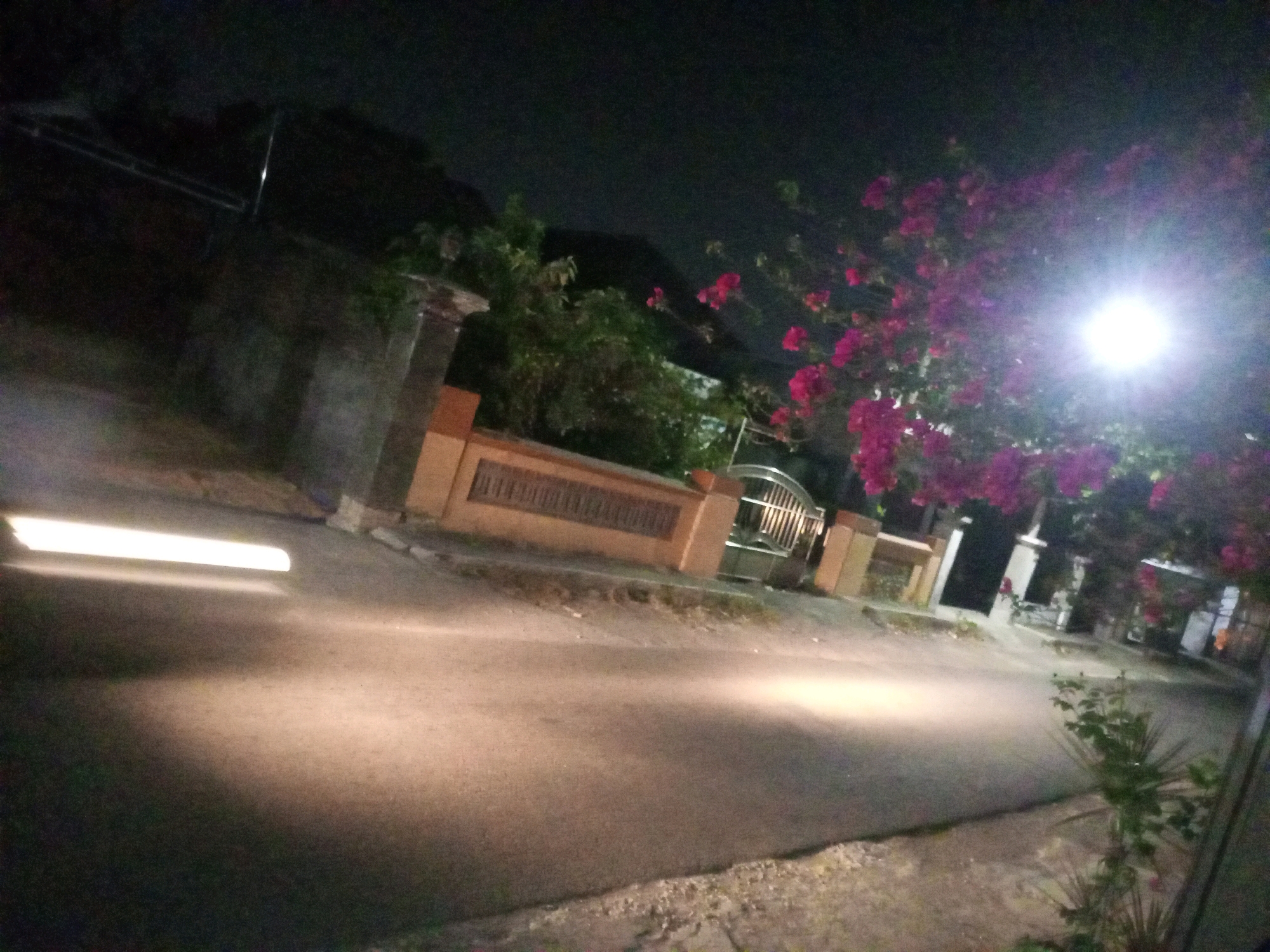 A nighttime street scene in Ngasem, Indonesia, features a paved road with illuminated headlights from an unseen vehicle moving from left to right. On the left side of the road, a low brick wall runs along the property line, bordering a sidewalk and the street. Beyond the wall, foliage and shadows obscure the details of buildings and vegetation. On the right side of the road, a section of a residential property is visible, including a gate made of metal bars and ornamental stonework. A vibrant bougainvillea plant with bright pink flowers cascades over the wall and towards the street, partially illuminated by a bright streetlamp that casts a strong glare. The overall impression is that of a quiet residential street at night, with the movement of traffic suggested by the light trails.