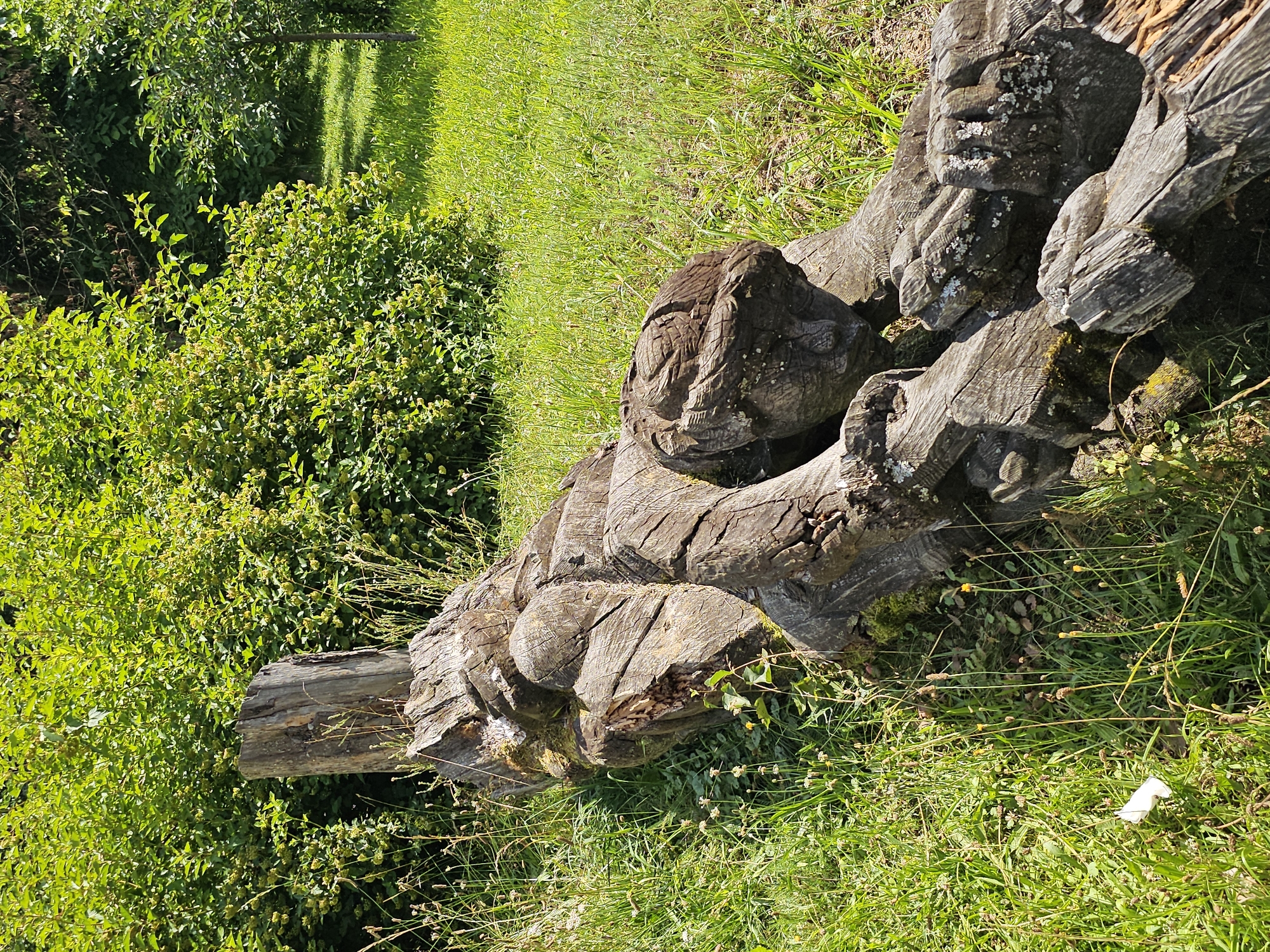 An outdoor scene in Ulitkino, Russia, features a weathered wooden sculpture of a reclining figure lying on a grassy lawn. The sculpture, made from what appears to be a single log, depicts a head with carved facial features and limbs outstretched. The texture of the wood is rough and shows signs of age and exposure to the elements, with moss and lichen visible in crevices. The figure is positioned horizontally, with the head towards the right of the frame. The background consists of lush green foliage and a well-maintained lawn, suggesting a park or garden setting. Sunlight illuminates the scene, casting shadows and highlighting the details of the sculpture and the surrounding nature.