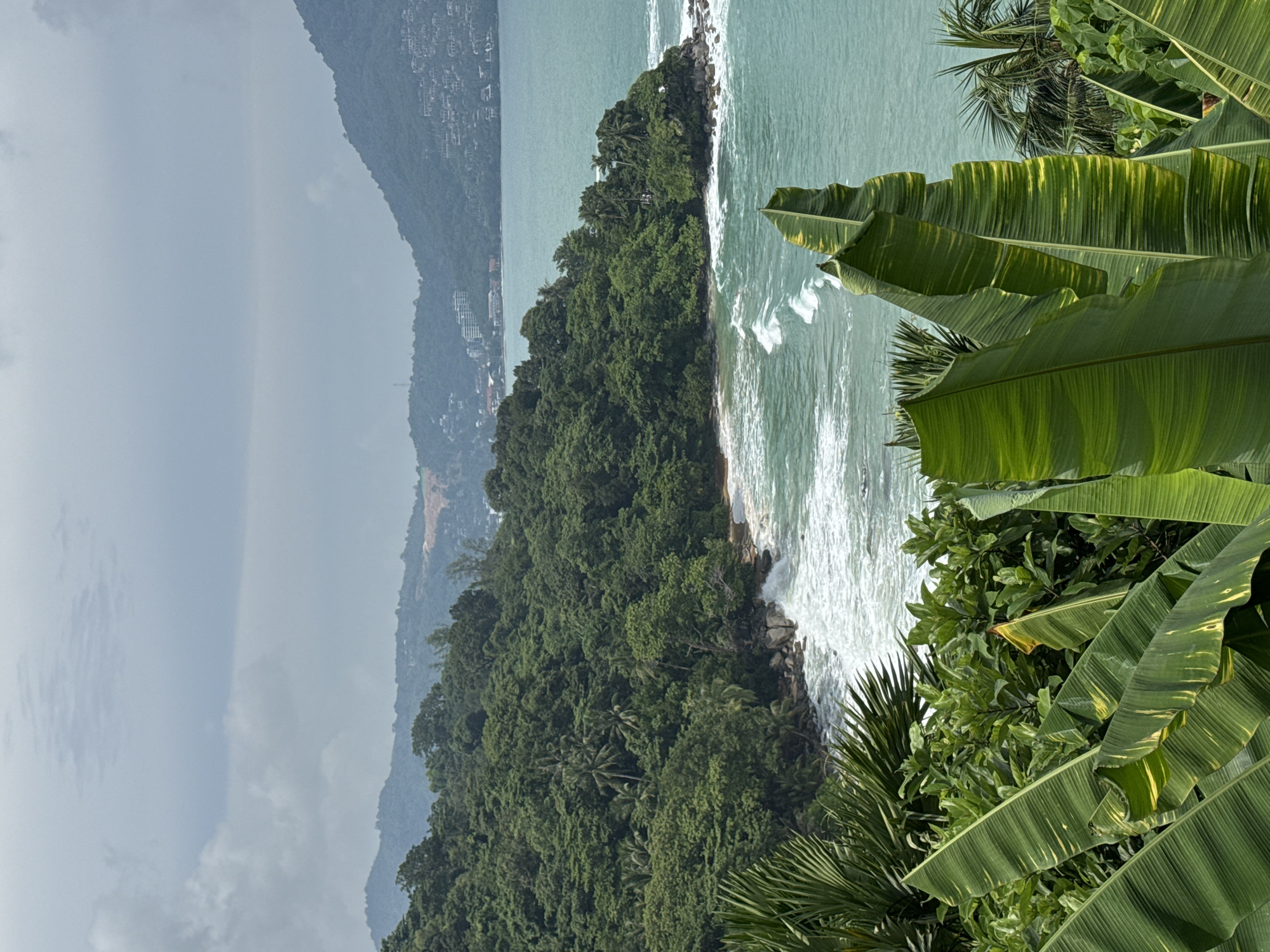 An overcast day at a tropical coastline in Ban Bang Thao, Thailand. Lush green foliage, including large banana leaves and palm trees, dominates the foreground. The middle ground reveals a verdant, tree-covered headland jutting into the turquoise ocean. White waves crash against a rocky shore. In the distance, rolling hills covered in dense vegetation and dotted with buildings rise towards a hazy sky.