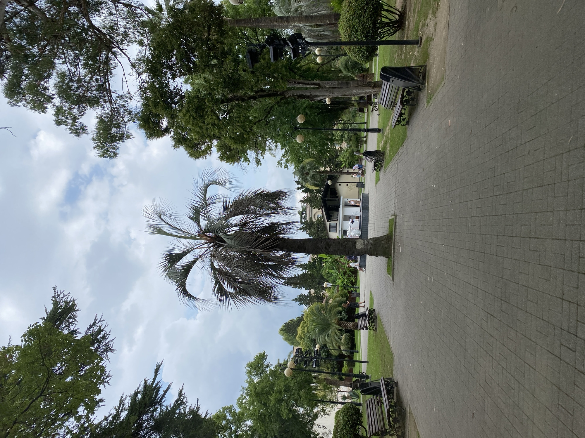 The image depicts a park in Sokhumi, Abkhazia, with a central palm tree dominating the view. A paved walkway, made of grey rectangular bricks, stretches forward, flanked by benches on either side. Lush green trees and bushes are abundant throughout the park, with some buildings and more distant trees visible in the background. The sky is cloudy, suggesting an overcast day. Several people are scattered throughout the park, some walking and others sitting on benches. One person is standing near a small building with a fountain.