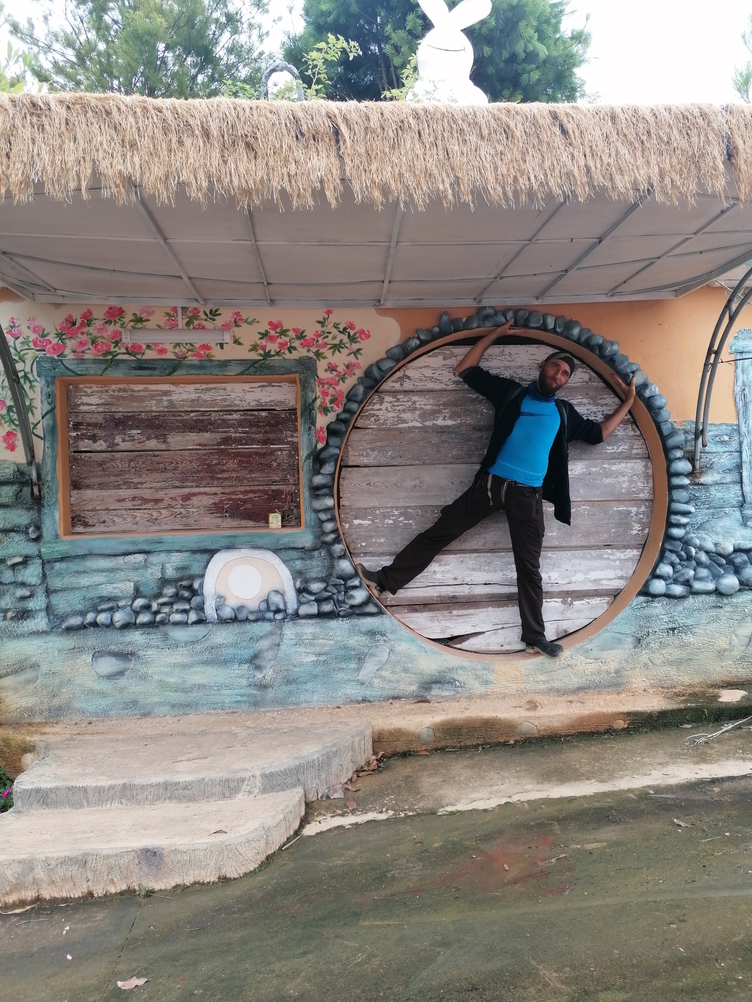 A man with a dark beard and a dark cap/bandana poses playfully within a large circular opening of a whimsical, hut-like structure. He is wearing a bright blue t-shirt, a dark open jacket, dark pants, and dark shoes, with his arms and legs outstretched, balancing on the edges of the opening. He has a slight smile.
The structure features a thick thatched roof. Perched on the roof is a large white rabbit figure. The upper wall of the building is painted light orange-beige with vibrant pink rose vines and green leaves. Below this, the wall transitions to a blue-green section, decoratively painted to resemble rocks and flowing water. A rectangular window to the left of the circular opening is framed in light blue and filled with weathered wooden planks. Below the window, a small white arched shape with a circular center is painted on the wall. The circular opening where the man stands is also filled with weathered wooden planks and framed by painted grey stones.
The ground in the foreground consists of concrete steps leading down to a darker, wet, and mossy patch of ground. In the background, green trees and a bright sky are visible above the thatched roof. A small, illegible green label or sticker is present on the wooden planks inside the window. The overall scene suggests a themed park or a fanciful tourist attraction, likely in the Lạc Dương, Vietnam region.
