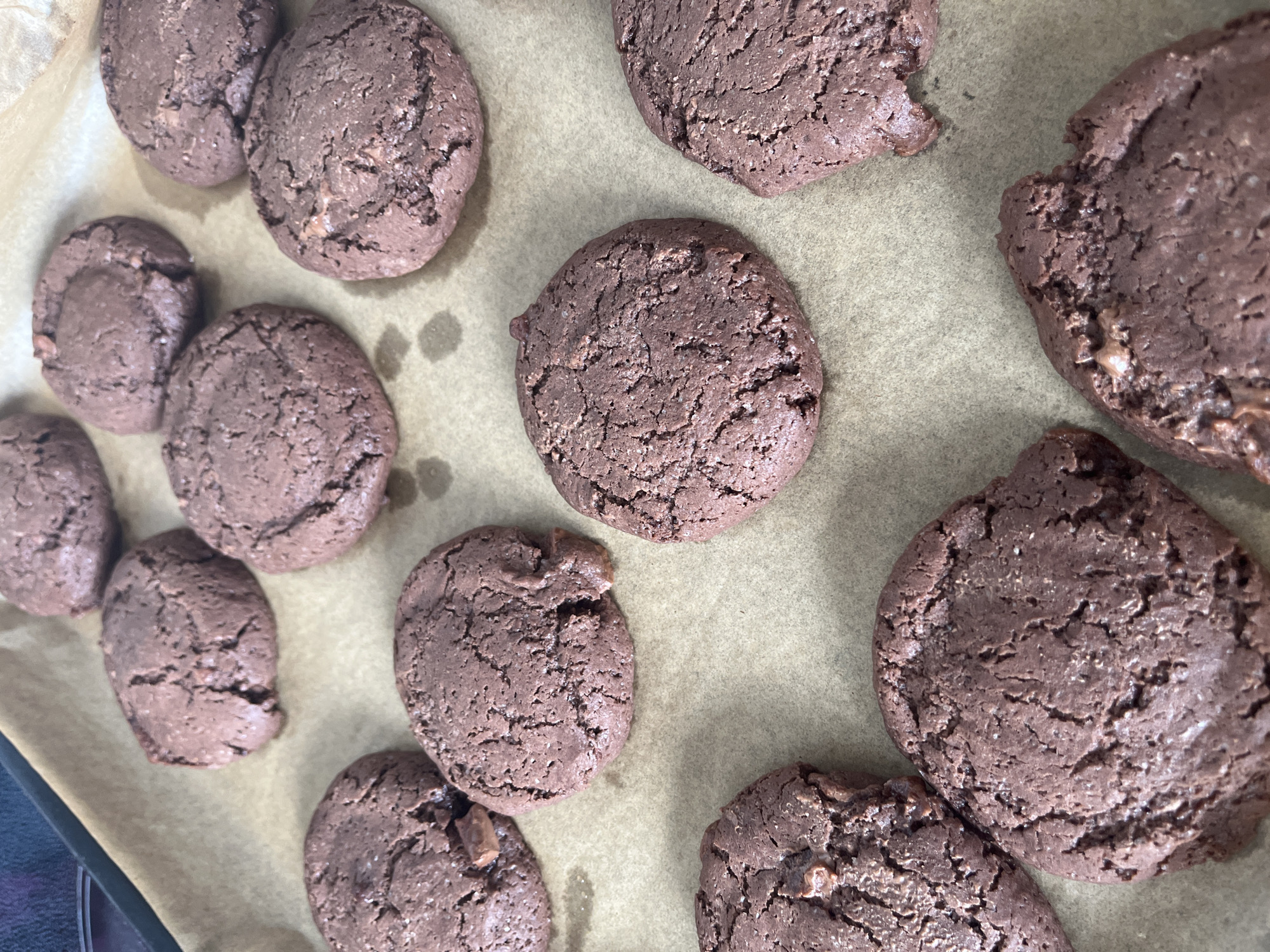 This is a high-angle, close-up, photograph of approximately a dozen chocolate cookies arranged on a baking sheet lined with parchment paper. The cookies are dark brown, with a slightly irregular, crinkled surface, indicating they are likely homemade and have a chewy texture. Some cookies show visible chunks of chocolate. The cookies are spread out in a somewhat random pattern across the baking sheet. The background consists of the baking sheet and parchment paper. There are no people visible in the image, and no contextual clues suggest a specific location within Kohtla-Järve linn, Estonia, or any other city. The scene is sterile and focused solely on the baked goods.