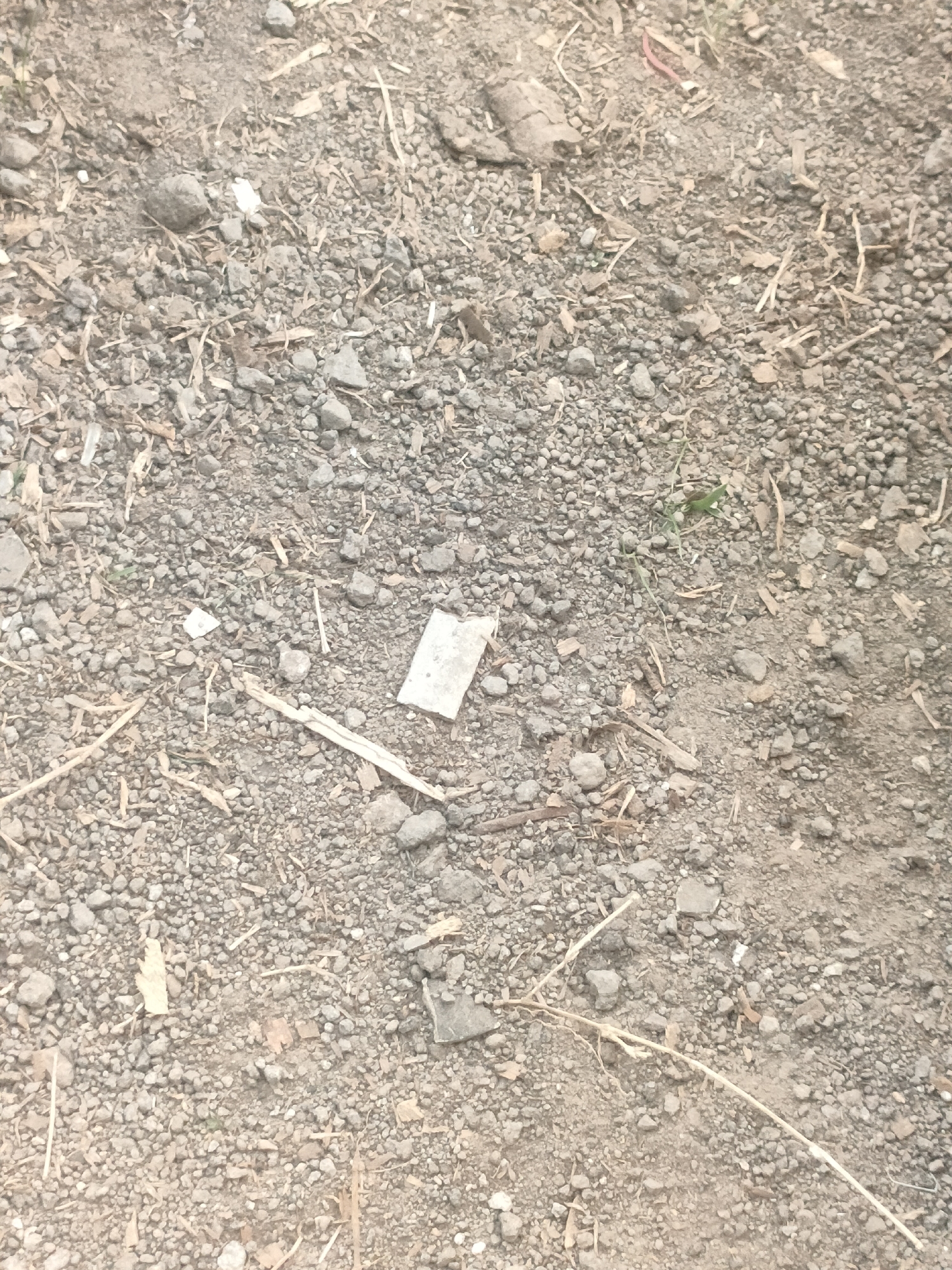 The image shows a close-up, overhead view of a patch of ground composed primarily of small gray pebbles, dirt, and scattered dry plant debris. There are a few larger stones and some pieces of what appears to be dried wood or bark. In the center of the frame, there is a small, rectangular piece of white material, possibly paper or plastic, lying flat on the ground. The lighting suggests it is daytime. There is no indication of the specific location within Banguntapan, Indonesia, beyond it being an outdoor ground surface. No people, animals, or specific structures are visible.