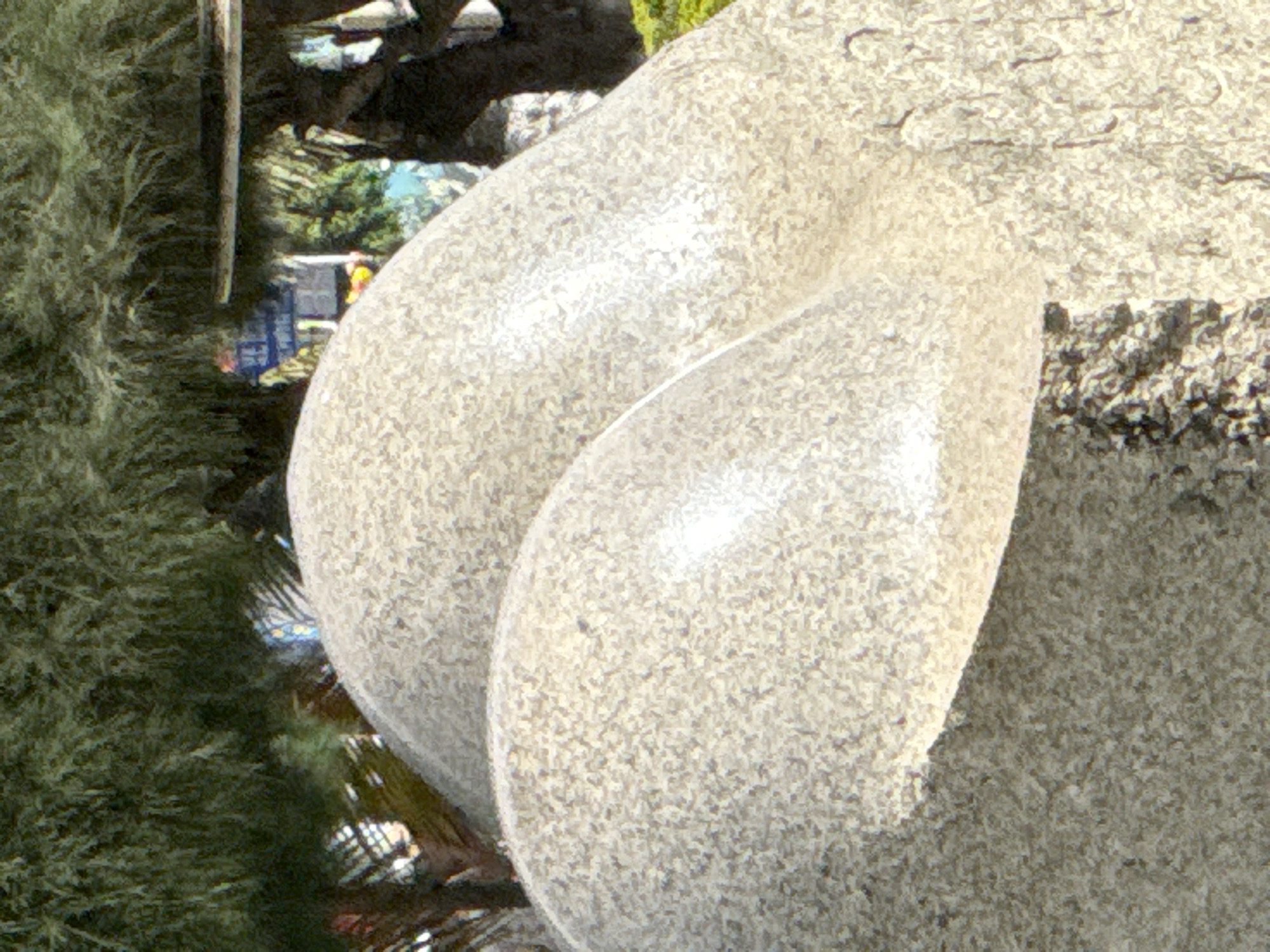 The image shows a close-up of a large, light-colored, textured sculpture that resembles a pair of buttocks. The sculpture is situated outdoors, with trees and foliage visible in the background. The texture of the sculpture is granular, with visible speckles of darker material within the lighter stone. There are areas of significant reflection on the curved surfaces of the sculpture, indicating a smooth, polished finish in those spots. The background includes hints of urban elements, such as what appears to be a street sign or building facade with blue and yellow lettering, suggesting the sculpture is located in a public area of a city. The overall lighting suggests it is daytime, with sunlight casting highlights on the sculpture. The sculpture is the primary subject, occupying most of the frame. No people are visible in the image. This sculpture is located at the Nha Trang Art Stone Sculpture Garden in Nha Trang, Vietnam.