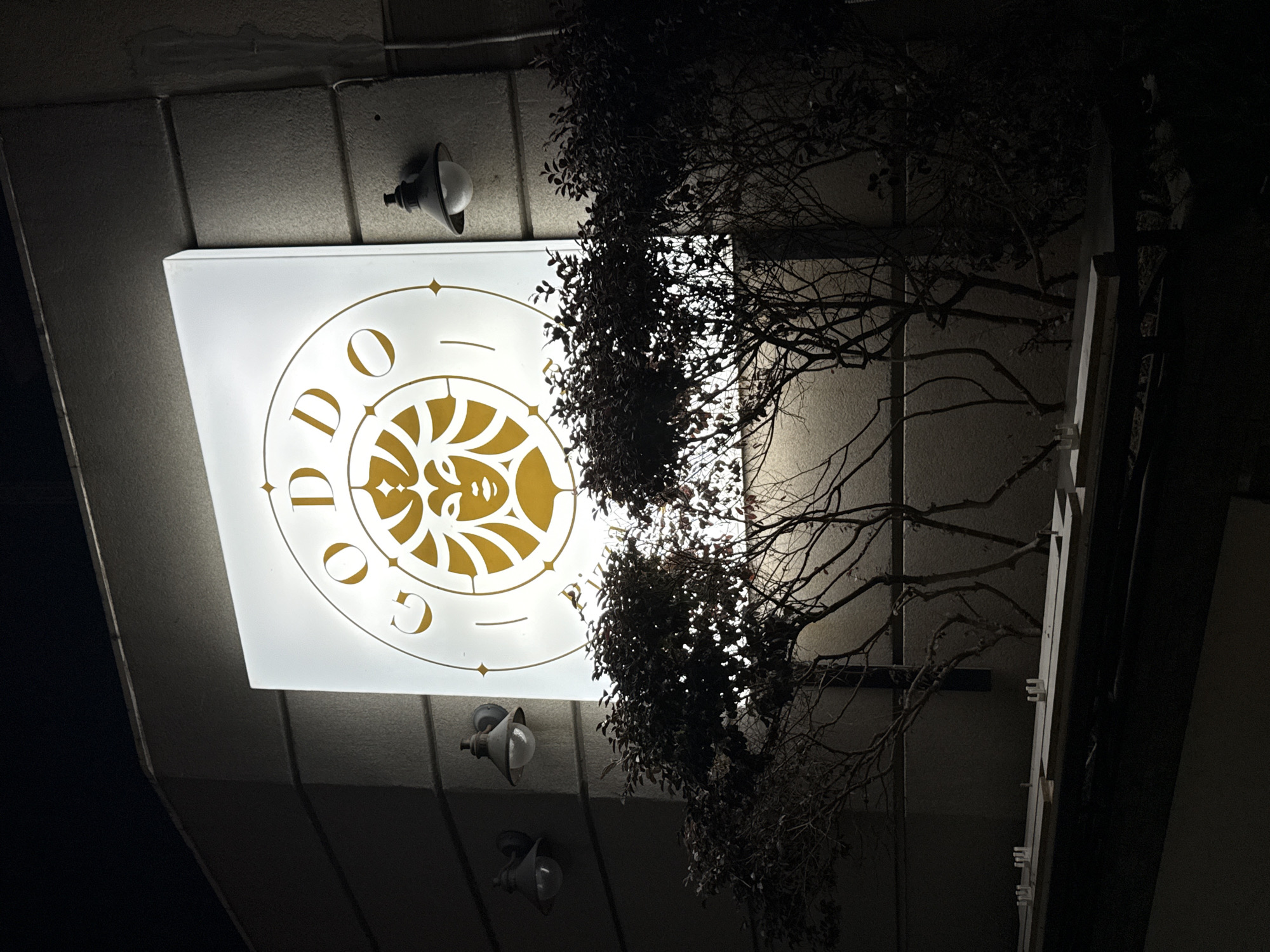 The image depicts a nighttime exterior view of a building facade in Budva, Montenegro. A large, illuminated rectangular sign with a circular logo is mounted on the wall. The logo features a stylized face within a circle, with the letters "GODDO" inscribed around it in a golden-yellow hue. Two vintage-style wall lamps with clear glass bulbs are mounted on either side of the sign, casting a warm glow. In the foreground, several dark, bare-branched trees and bushy shrubs are visible, partially obscuring the lower part of the sign. The ground in front of the building appears to be a dark, paved area with some wooden structures or seating. The overall impression is one of a commercial establishment, possibly a cafe or restaurant, with an artistic and slightly retro aesthetic.