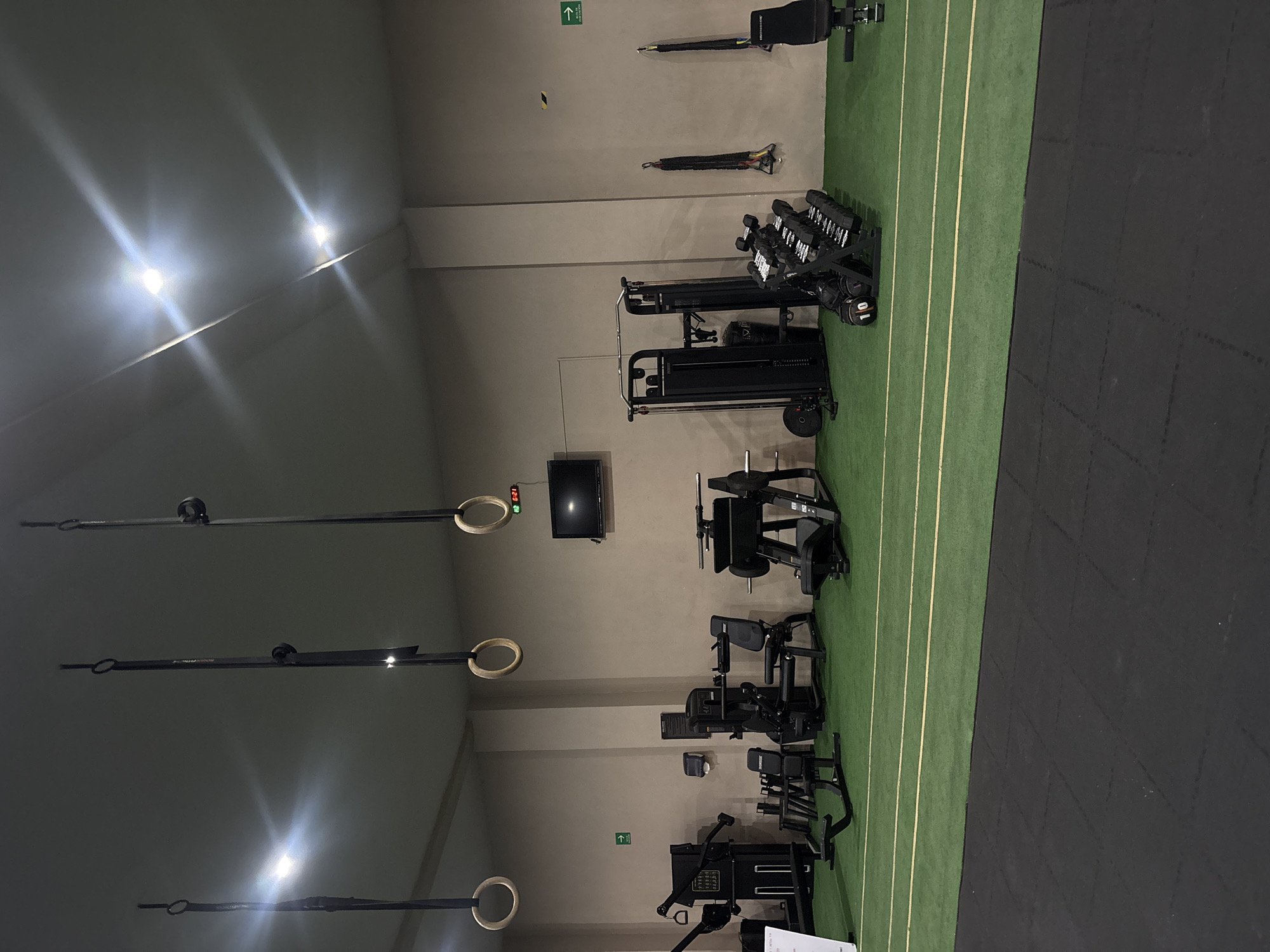 The image depicts the interior of a gym. The gym equipment includes gymnastic rings hanging from the ceiling, a selection of weight machines, dumbbells, and a TV mounted on the wall. The floor is covered with a green, striped turf area and a black rubberized section. The walls are painted in a light grey color. The image does not contain any specific information to determine if the location is San Bernardino Tlaxcalancingo, Mexico. There are no visible people or discernible actions captured in the image.