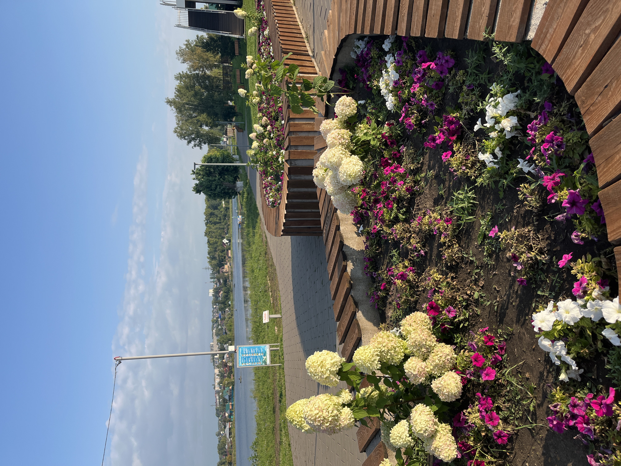 The image depicts a waterside promenade in Novye Turbasly, Russia, on a clear day with a bright blue sky and scattered white clouds. In the foreground, a flower bed is filled with clusters of white hydrangeas and smaller pink and white petunias. A curved wooden bench with slatted seating surrounds the flower bed. A paved walkway extends behind the flower bed, leading towards a body of water. Across the water, a distant shoreline is visible with buildings, trees, and the green hues of vegetation. A signpost stands near the walkway, with a notice board displaying text and images. In the background, trees line the edge of the water, and a staircase with white railings is visible on the right side of the frame, suggesting a higher level or an architectural feature of the promenade. The overall scene conveys a tranquil, well-maintained public space by the water.