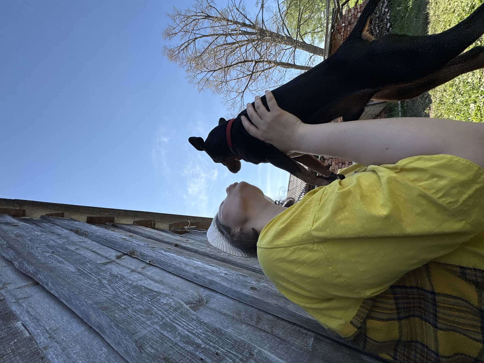 A person wearing a yellow shirt is holding a black dog up in the air. The dog has a red collar. The sky is blue and there is a bare tree in the background. A weathered wooden structure is partially visible. The location is Усть-Тунтор, Russia.