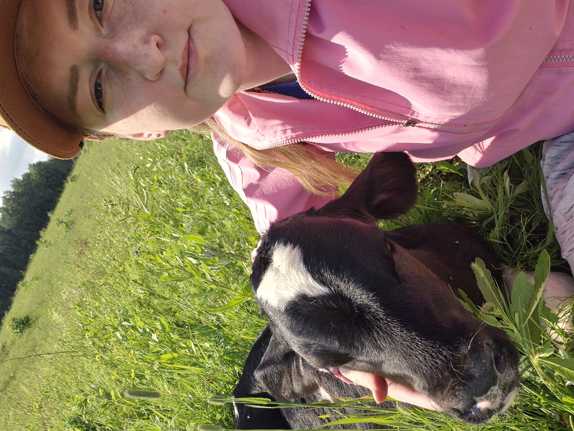 A young person wearing a brown cap and a pink jacket is in a grassy field with a calf. The person is holding the calf's head with their left hand. The calf is black and white and appears to be eating some grass. The background is a green, rolling hill with trees at the top. The scene is lit by bright sunlight. The location is not specified to be Karsha, Russia.
