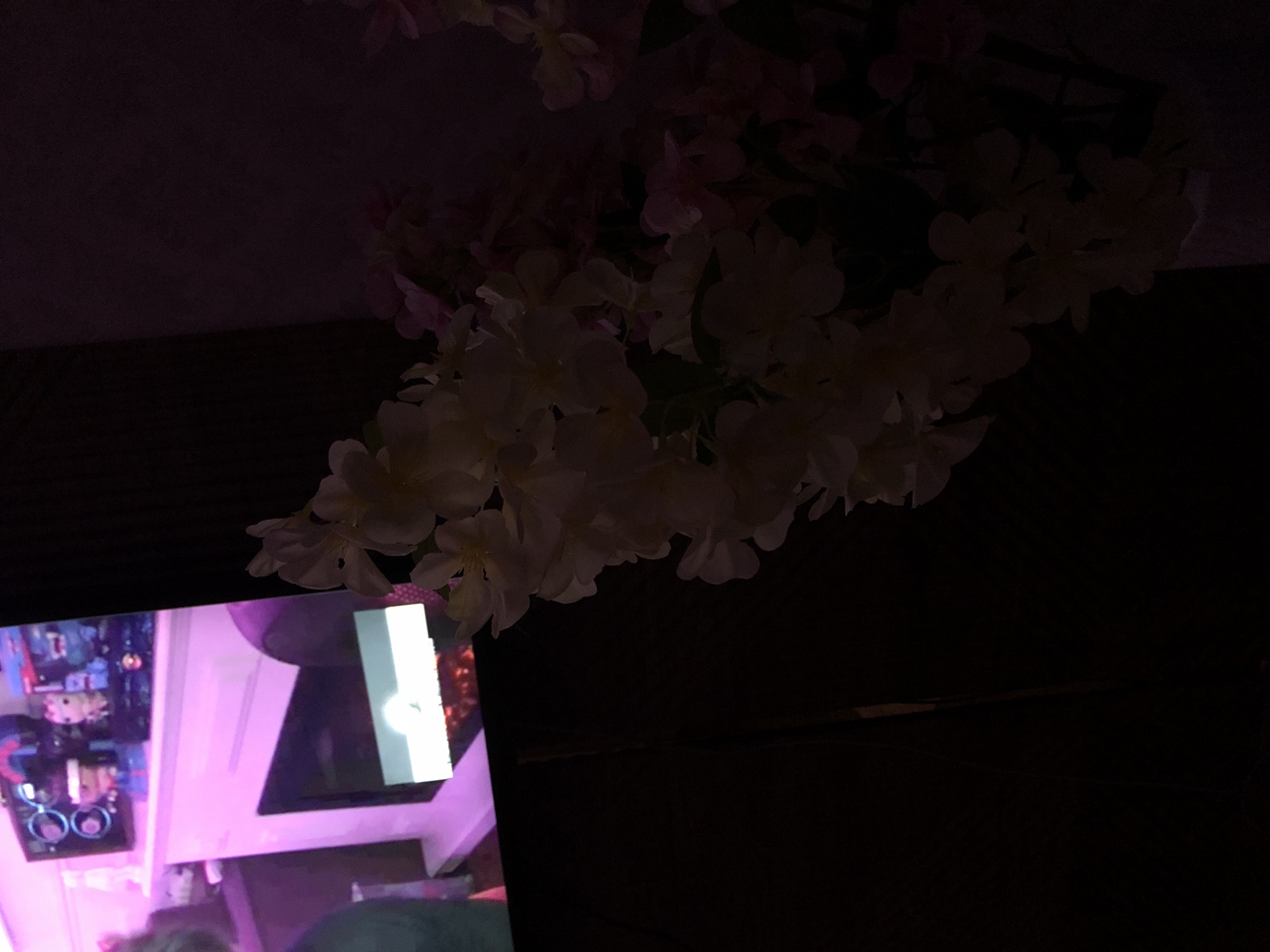 The image shows a dimly lit interior with a display screen in the lower left corner, showing a brightly lit interior scene with pink hues. Above the screen, there's a grouping of white and pale pink flowers. The background is dark, obscuring most details.