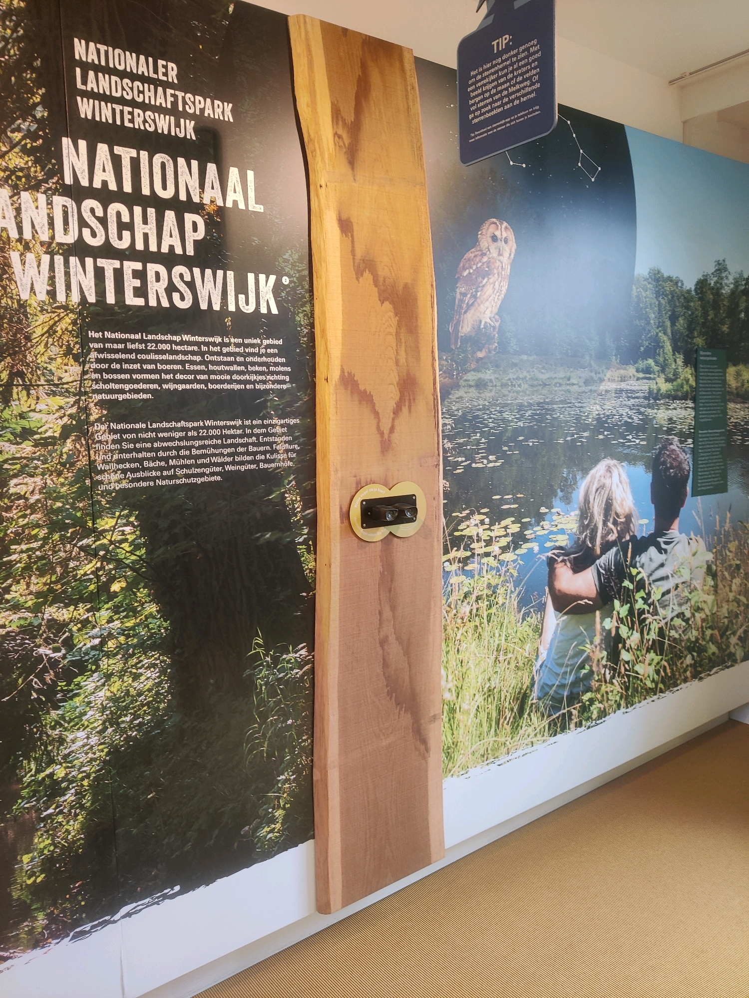 The image shows a large mural depicting the landscape of Winterswijk, Netherlands. The mural is divided into two main sections. The left section features text about the National Landscape Winterswijk, with large white lettering identifying it as "NATIONALE LANDSCHAPSPARK WINTERSWIJK" and "NATIONAAL LANDSCHAP WINTERSWIJK". Below this, a descriptive text explains that the National Landscape Winterswijk is a unique area of approximately 22,000 hectares, characterized by a varied coulisse landscape. The text mentions that the landscape is shaped and maintained by farmers and includes elements such as country estates, hedgerows, copses, mills, and orchards. The right section of the mural depicts a serene natural scene with a calm body of water, possibly a lake or pond, reflecting the surrounding trees and sky. A pair of people, a man and a woman, are shown from behind, sitting on the grassy bank and looking out at the water. The man has his arm around the woman. A barn owl is perched on a branch in the upper right portion of the mural, and a constellation is visible in the dark sky above it. A wooden post with a metal fixture is placed in front of the mural, partially obscuring the text on the left side. A small sign, with the word "TIP" at the top, is also hanging in front of the mural, offering a tip in Dutch related to the dark sky and stargazing. The overall impression is an informative and visually appealing display about the natural beauty and characteristics of the Winterswijk region.