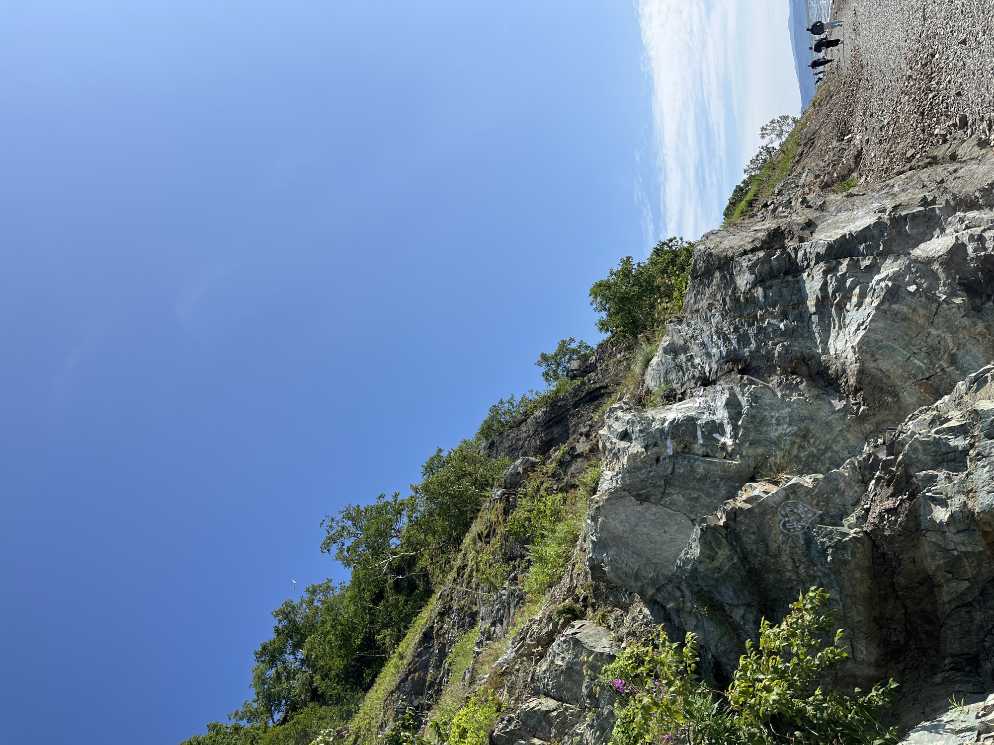 The image depicts a steep, rocky coastline under a clear blue sky in Petropavlovsk-Kamchatsky, Russia. The foreground is dominated by a large, textured rock face with patches of green vegetation and purple flowers growing on its lower left side. Some graffiti, including a heart symbol with text, is visible on the rocks.
The rocky slope continues upwards, covered with trees and grass, and leads to the top of the cliff. To the right of the rock face, a pebble beach stretches along the shoreline, meeting the water. Several people are walking along the beach, appearing as small figures in the distance. The sea extends towards the horizon, where landmasses are faintly visible. The overall scene suggests a natural, possibly recreational, coastal environment.